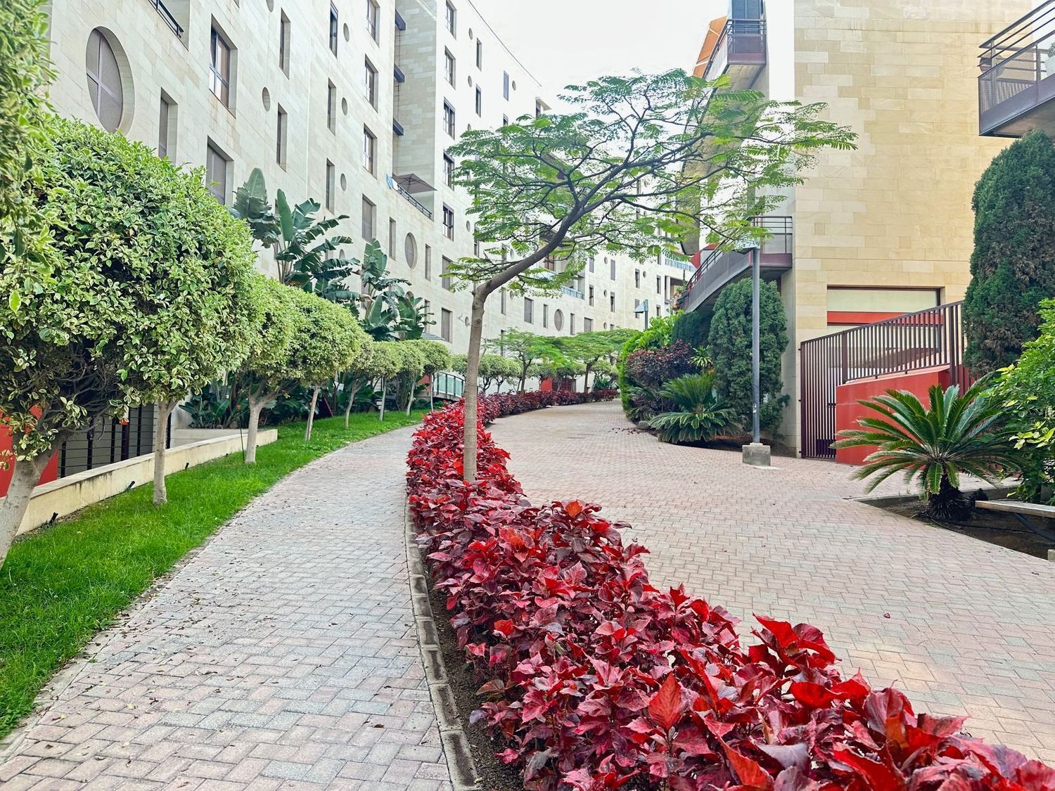 Pisos-Venta-Las Palmas de Gran Canaria-1969777-Foto-22