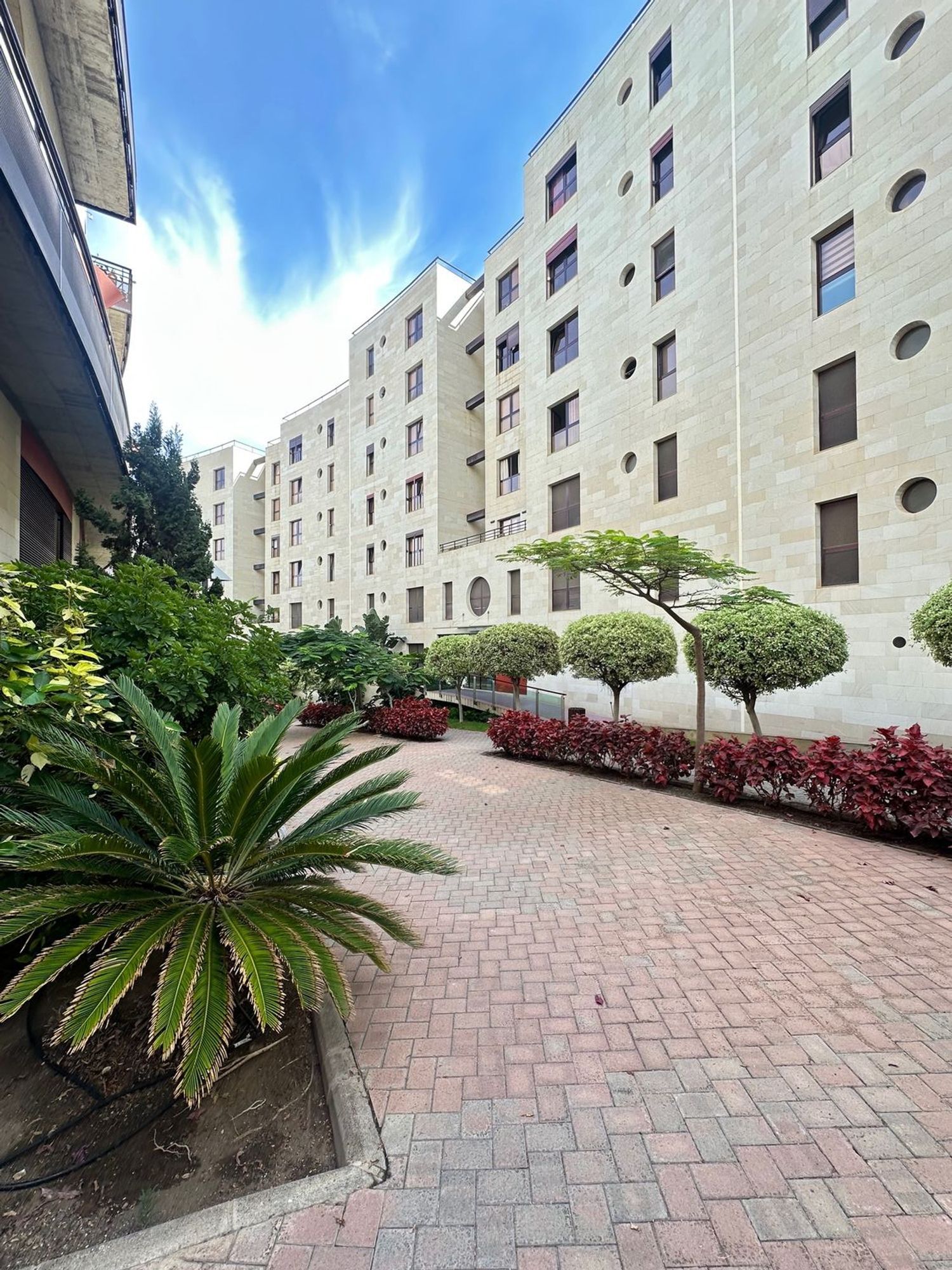 Pisos-Venta-Las Palmas de Gran Canaria-1969777-Foto-25