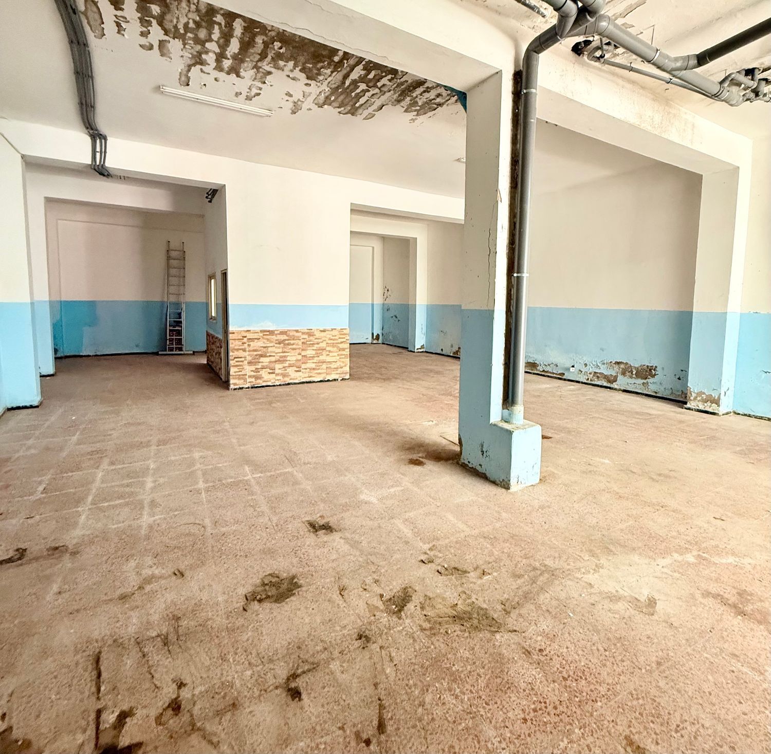 Negocios-Venta-Las Palmas de Gran Canaria-1969783-Foto-6