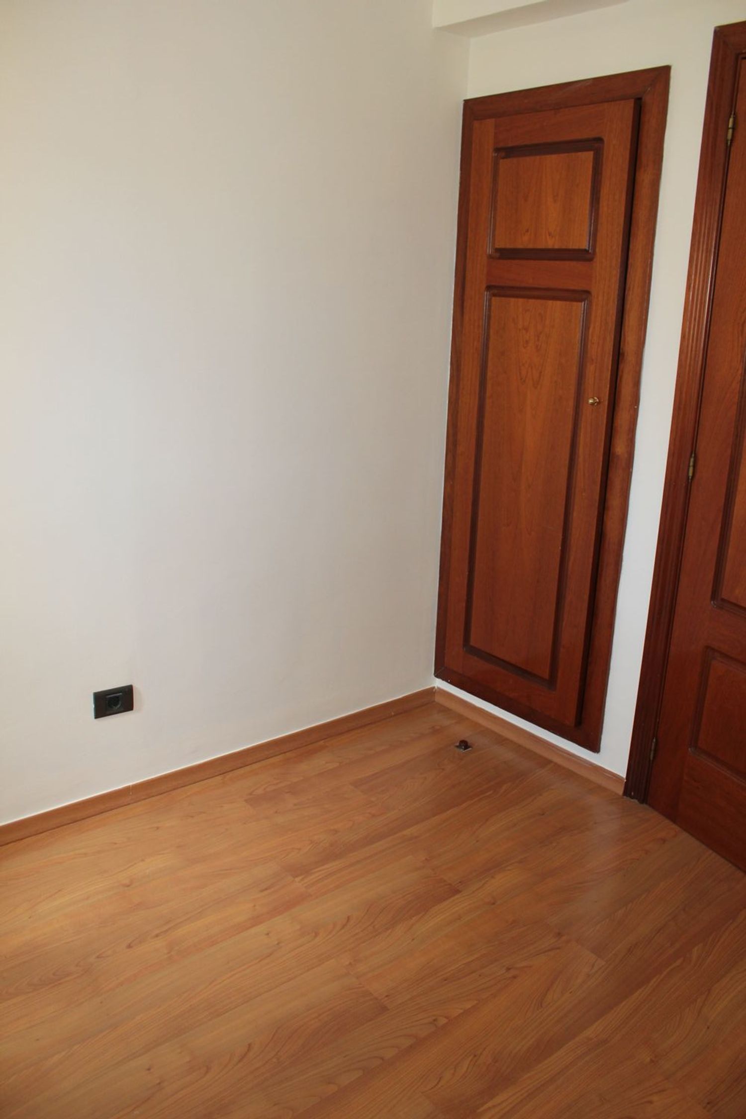 Pisos-Alquiler-Las Palmas de Gran Canaria-564872-Foto-19