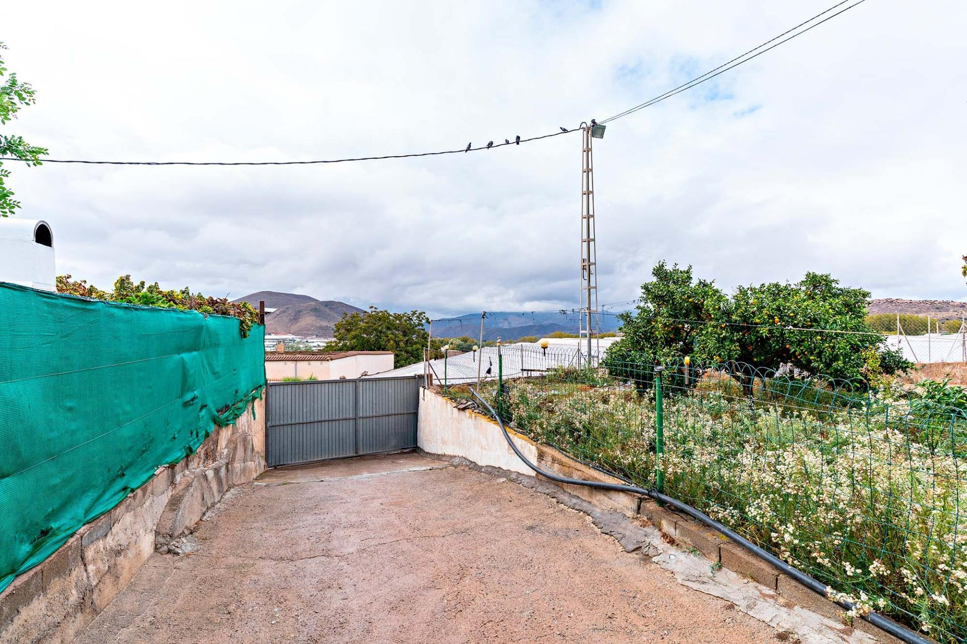 Pisos-Venta-Berja-1969823-Foto-24