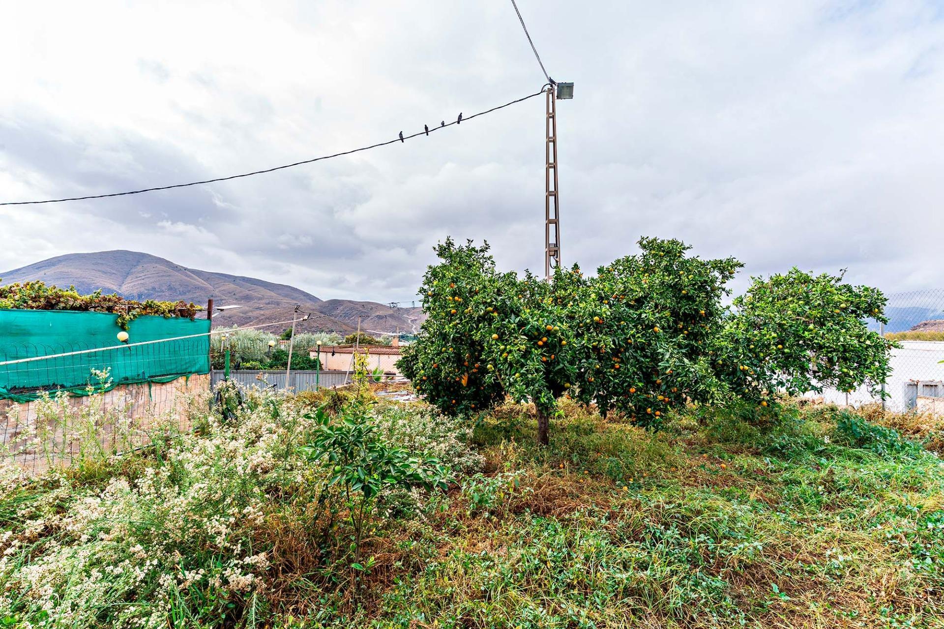 Pisos-Venta-Berja-1969823-Foto-23