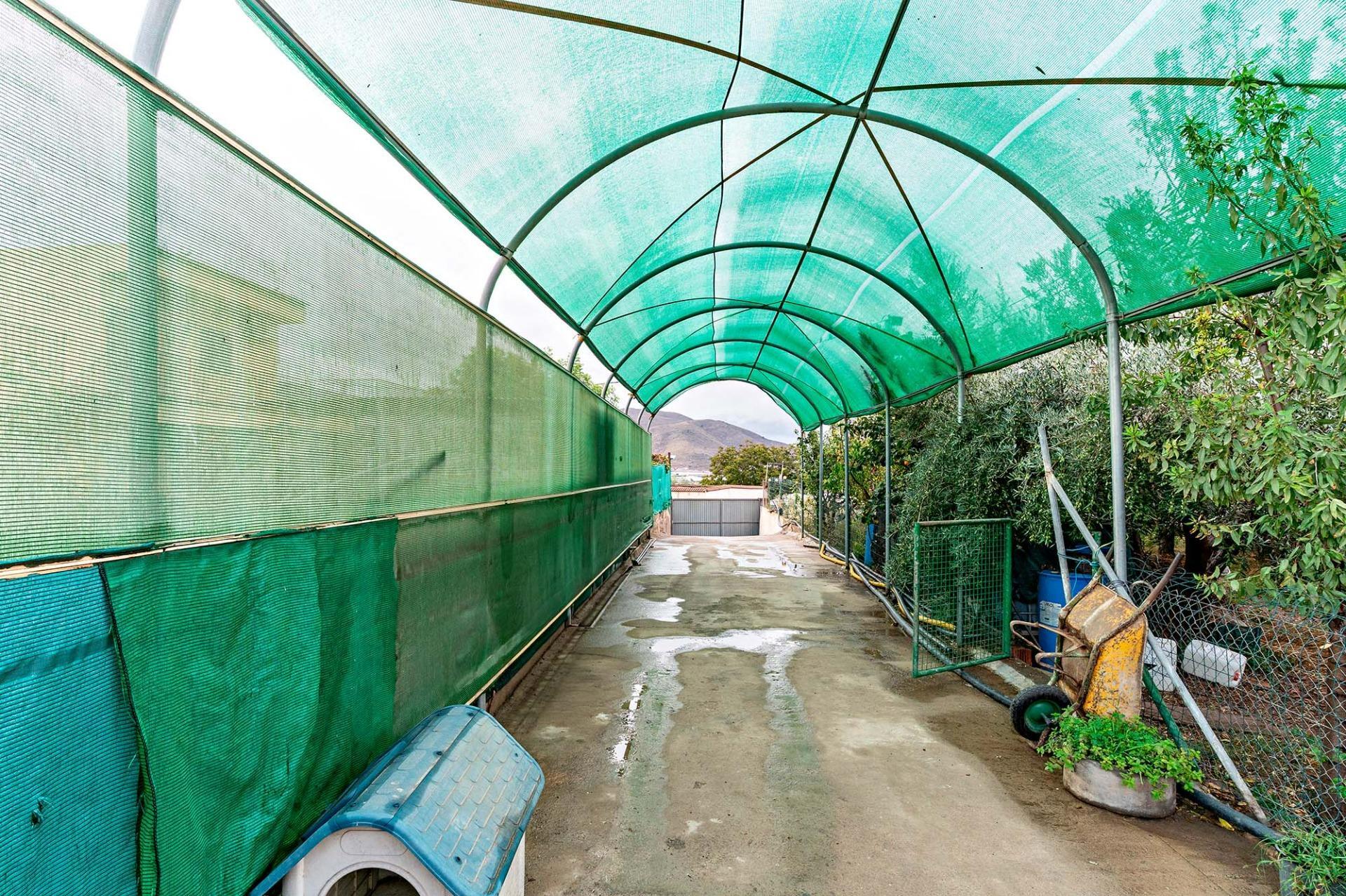 Pisos-Venta-Berja-1969823-Foto-21