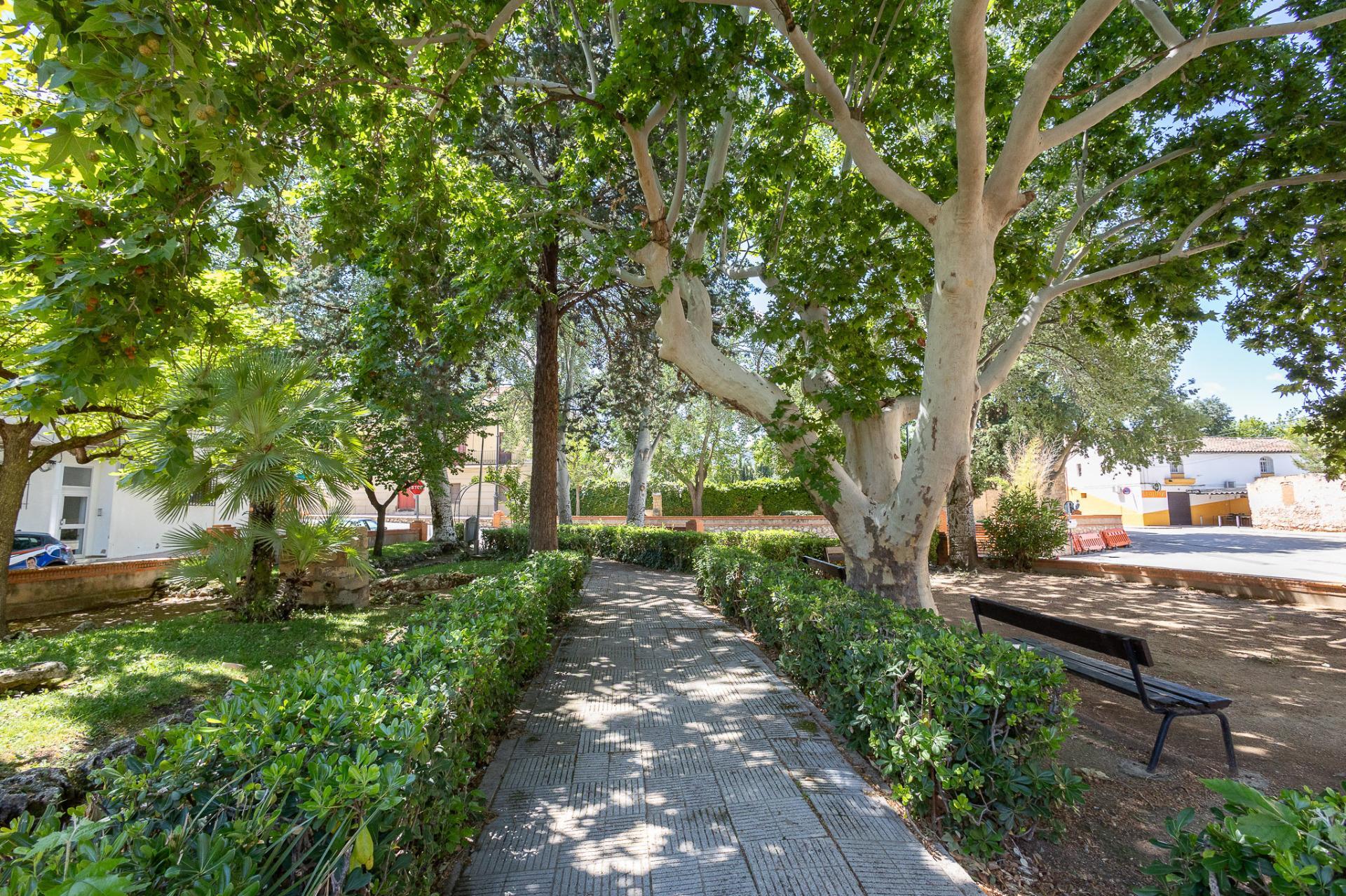 Casas o chalets-Venta-Fontanars dels Alforins-1299816-Foto-72