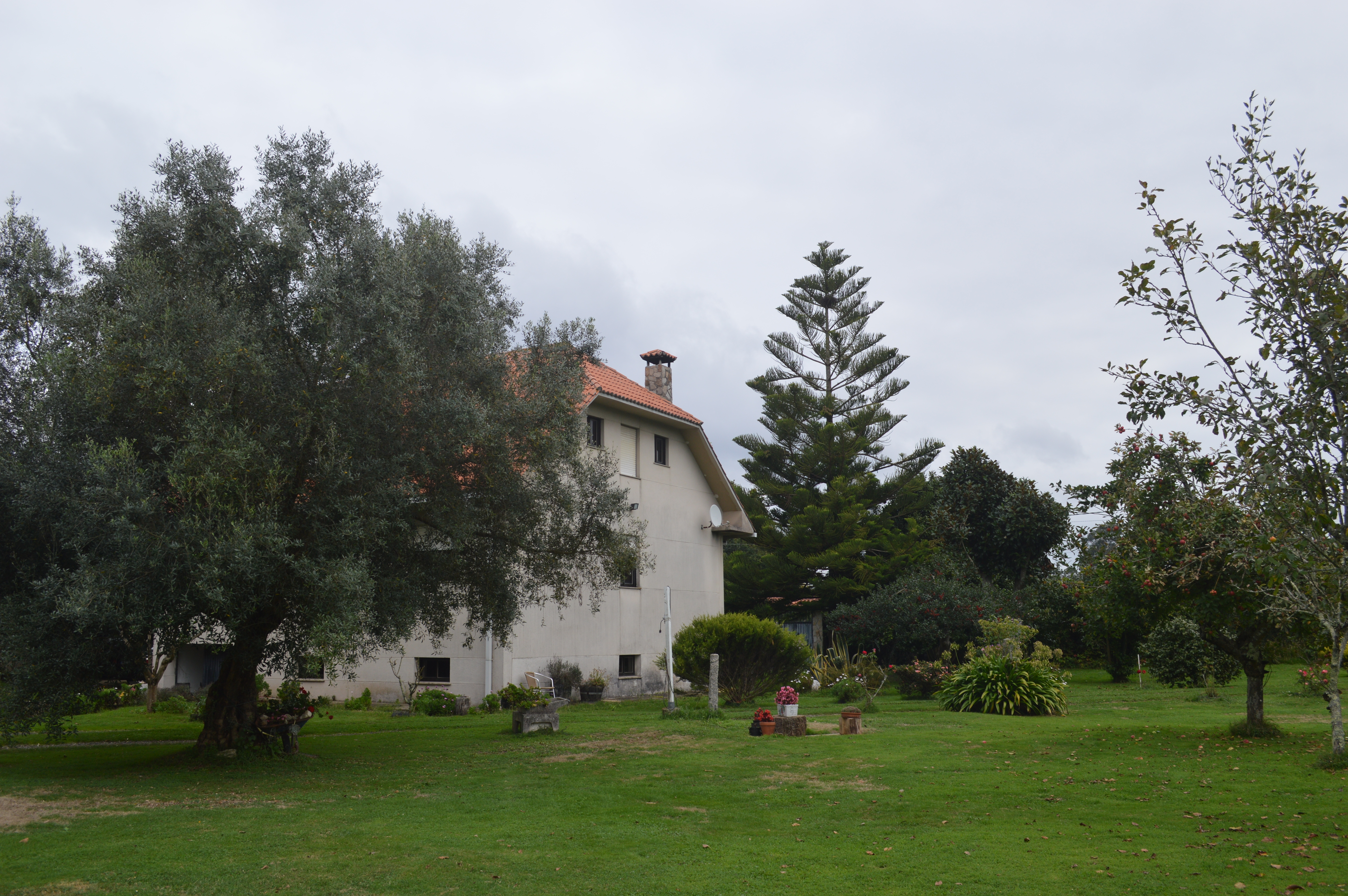 Casas o chalets-Venta-Mugardos-1901076-Foto-31