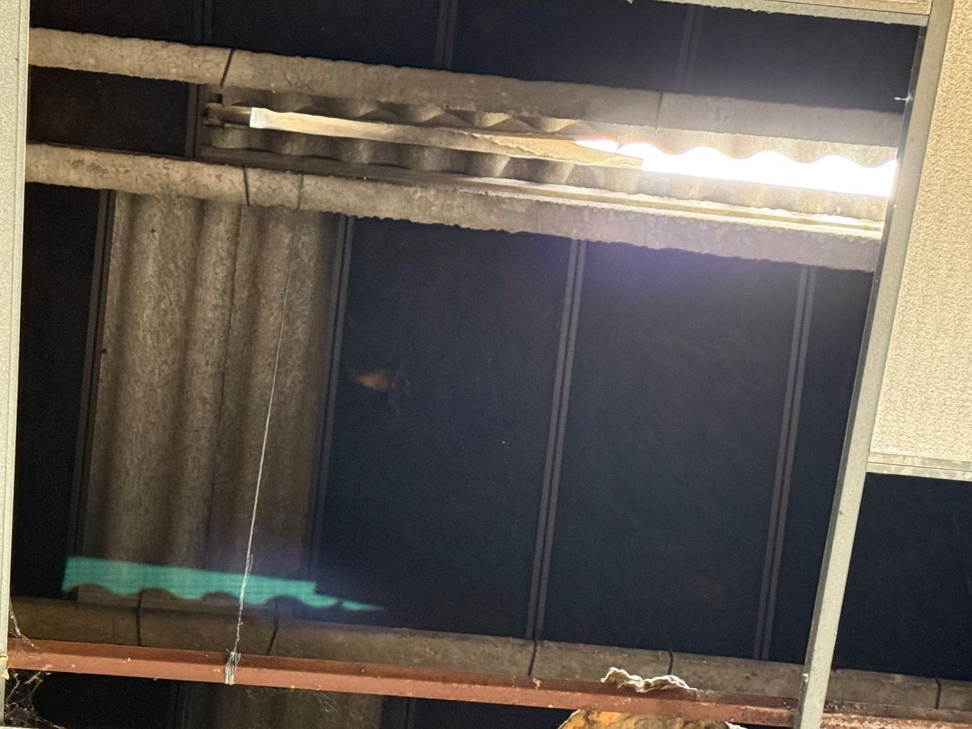 Naves-Venta-Valladolid-1792289-Foto-8