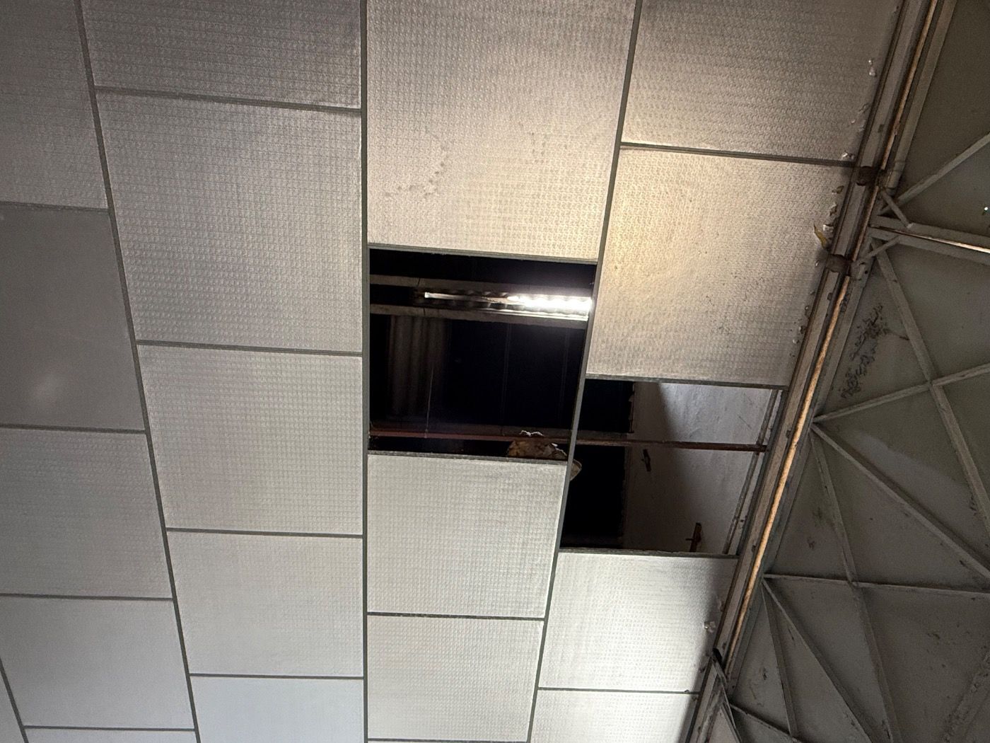 Naves-Venta-Valladolid-1792289-Foto-9