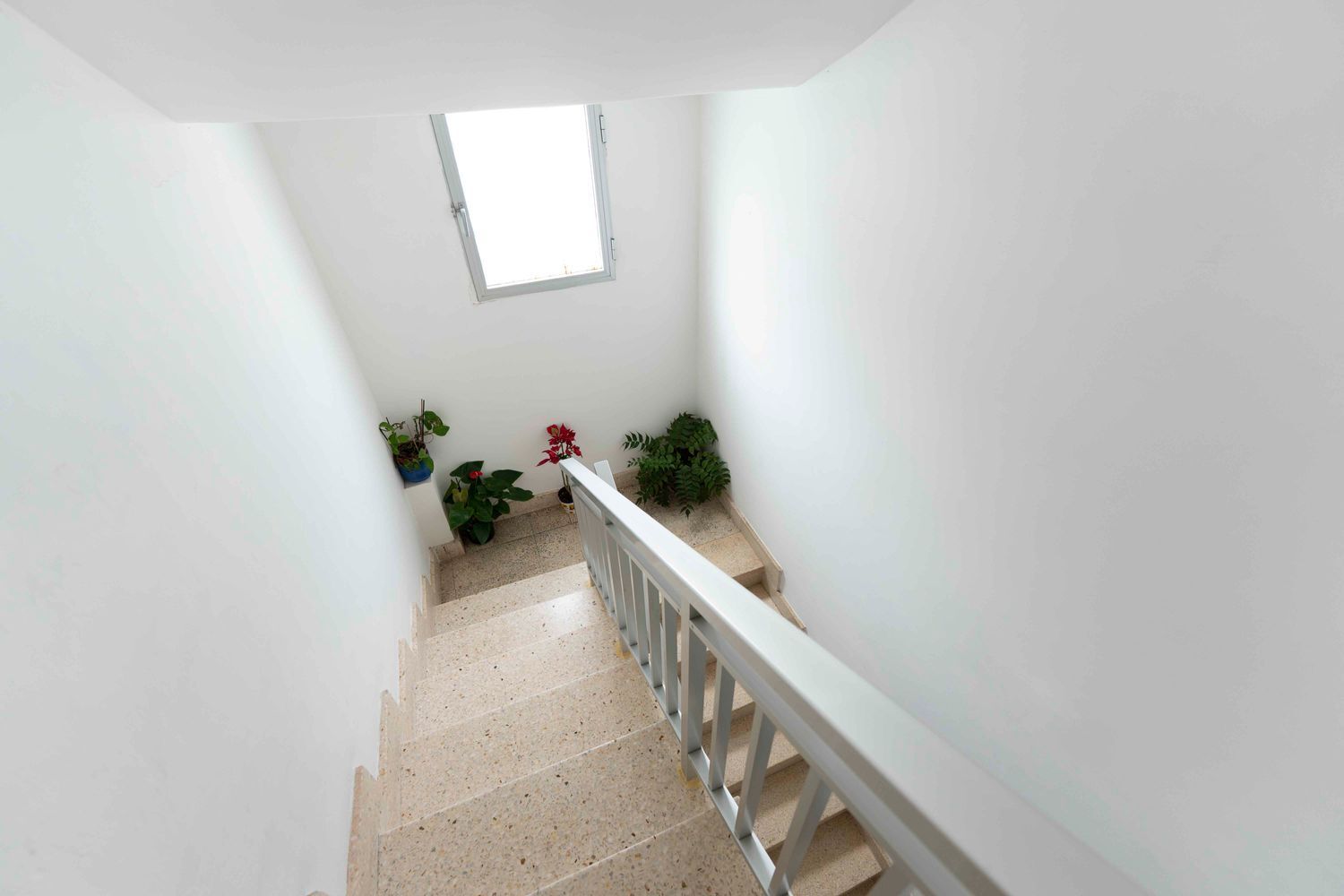 Pisos-Venta-Puerto de la Cruz-1970201-Foto-31