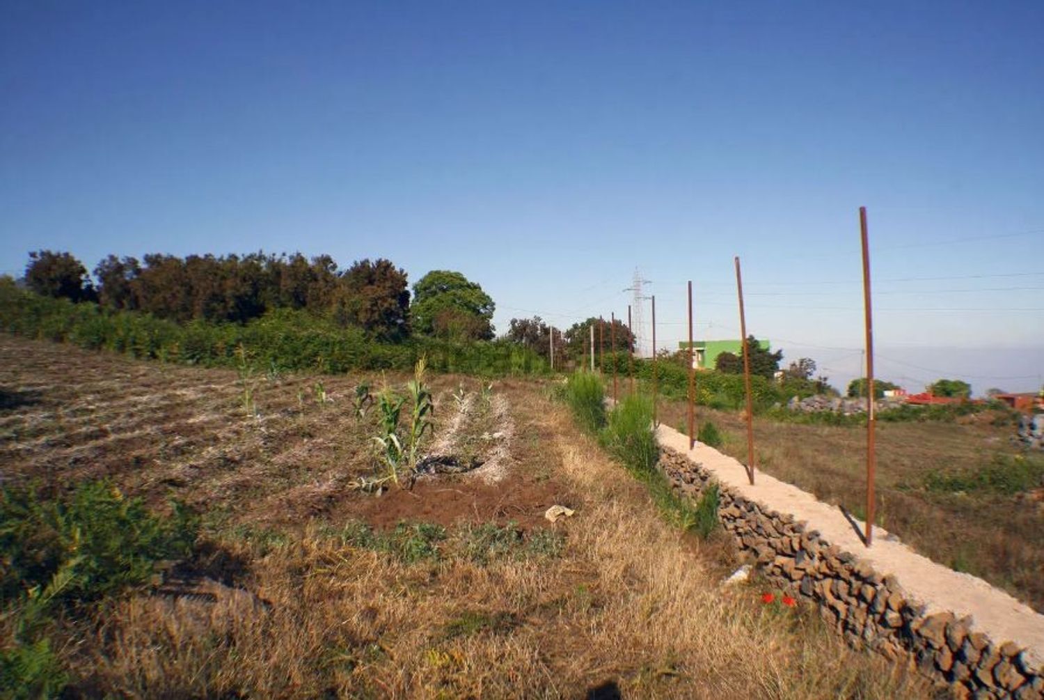 Fincas y solares-Venta-1970207