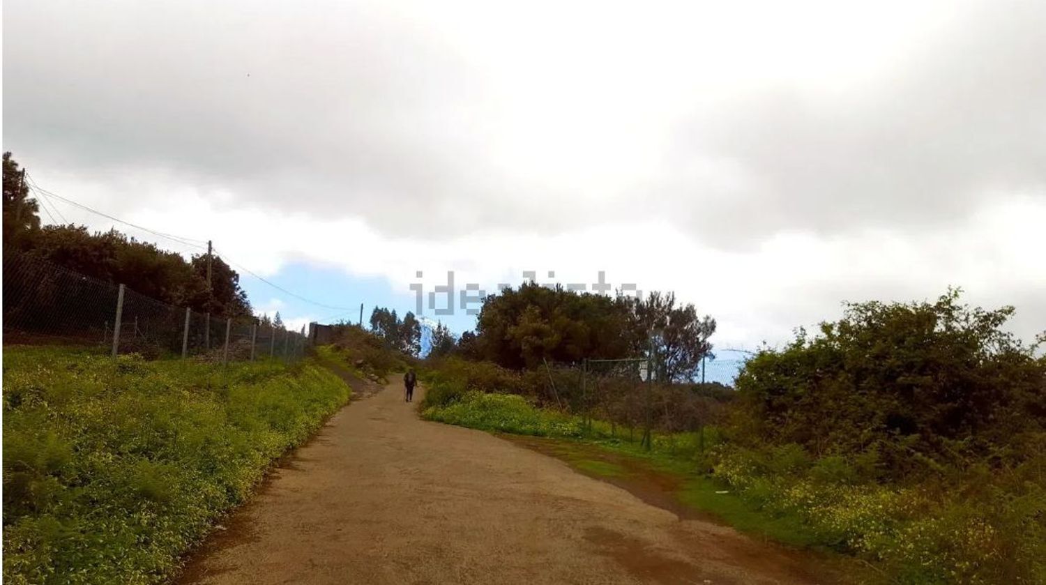 Fincas y solares-Venta-El Sauzal-1970207-Foto-3