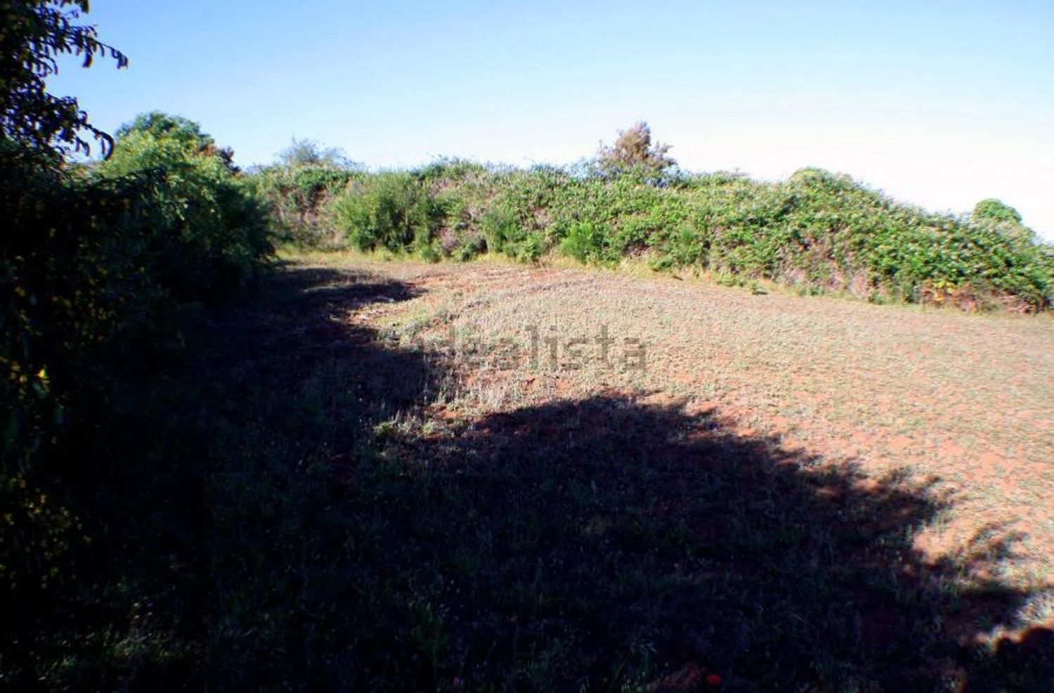 Fincas y solares-Venta-El Sauzal-1970207-Foto-7