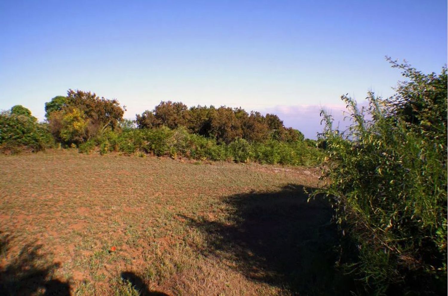 Fincas y solares-Venta-El Sauzal-1970207-Foto-8