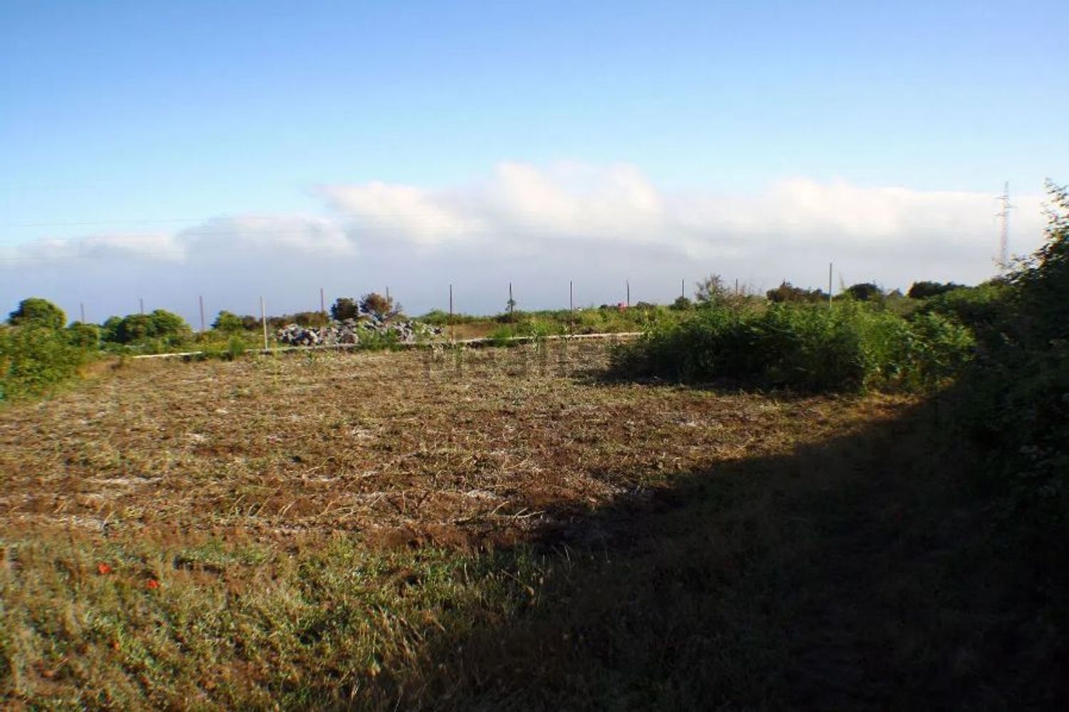 Fincas y solares-Venta-El Sauzal-1970207-Foto-9