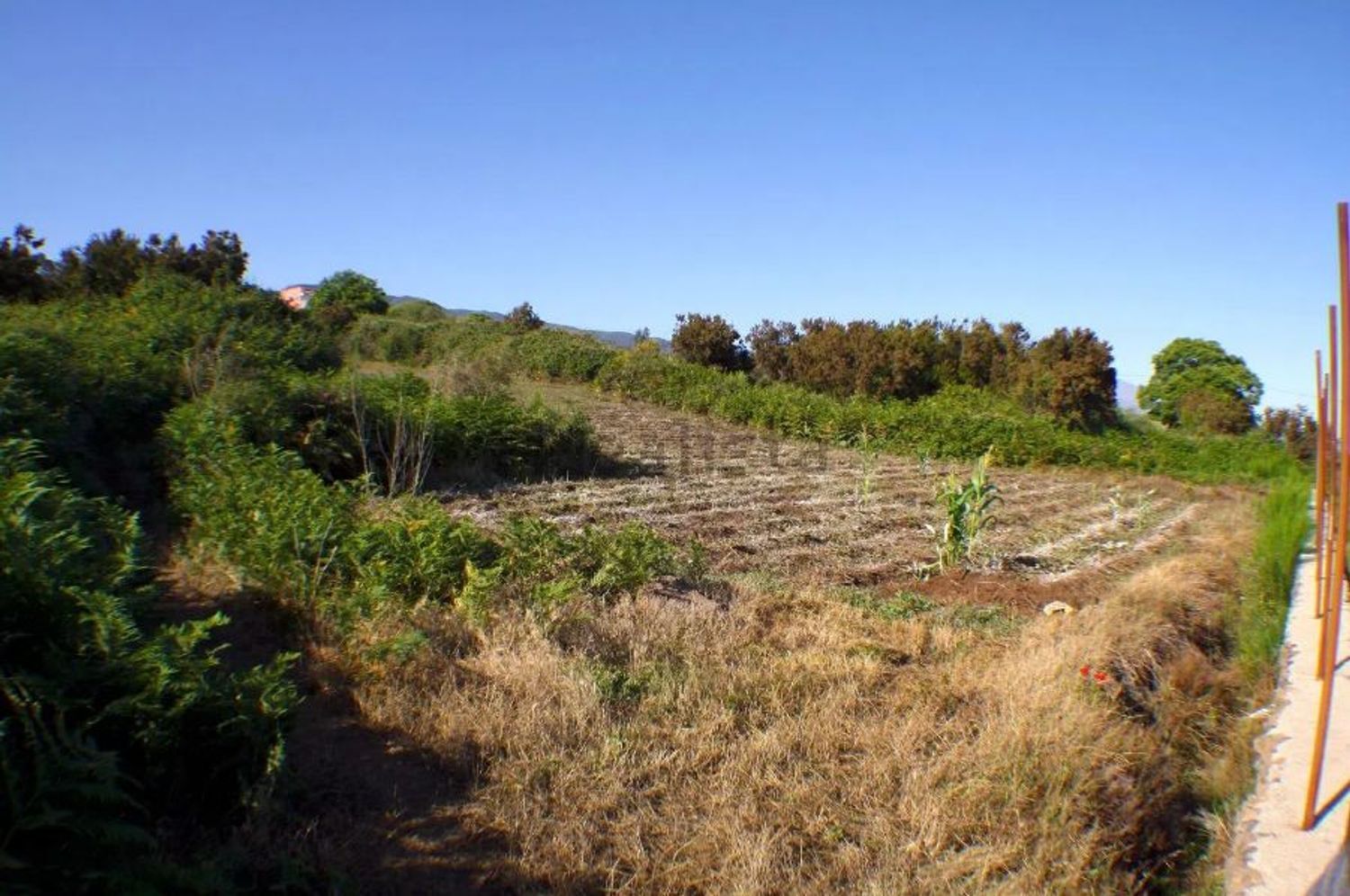 Fincas y solares-Venta-El Sauzal-1970207-Foto-10