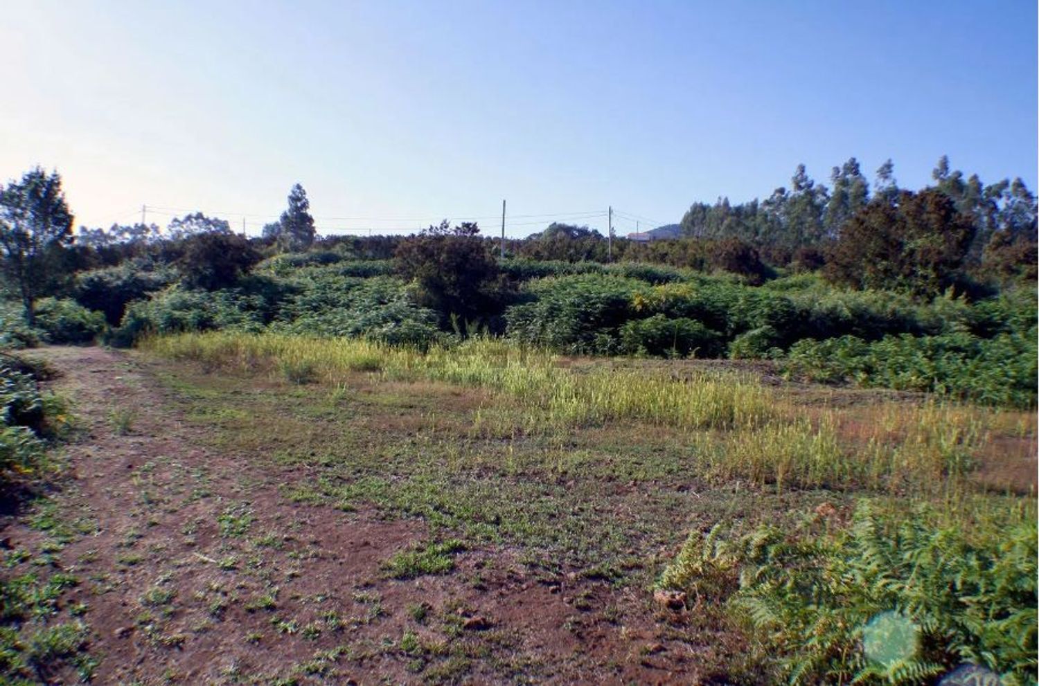 Fincas y solares-Venta-El Sauzal-1970207-Foto-11