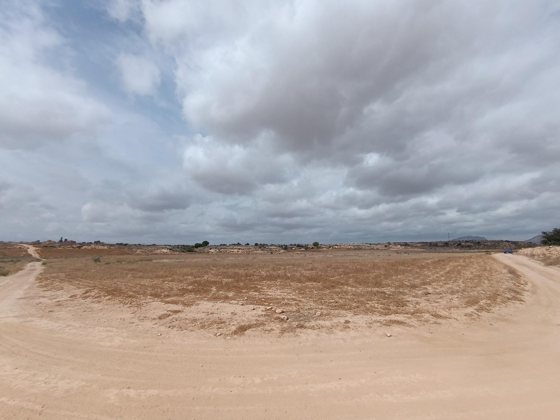 Fincas y solares-Venta-Sucina-1973009-Foto-2