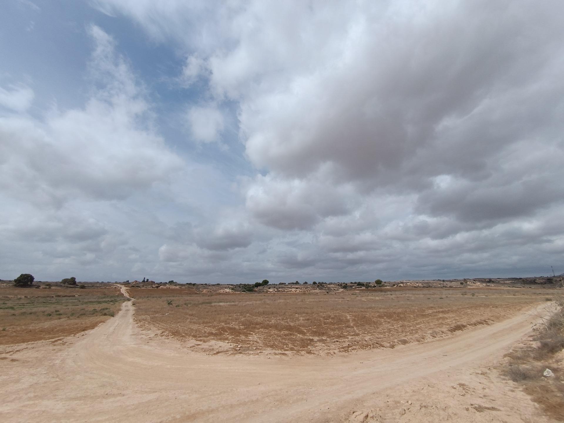 Fincas y solares-Venta-1973009