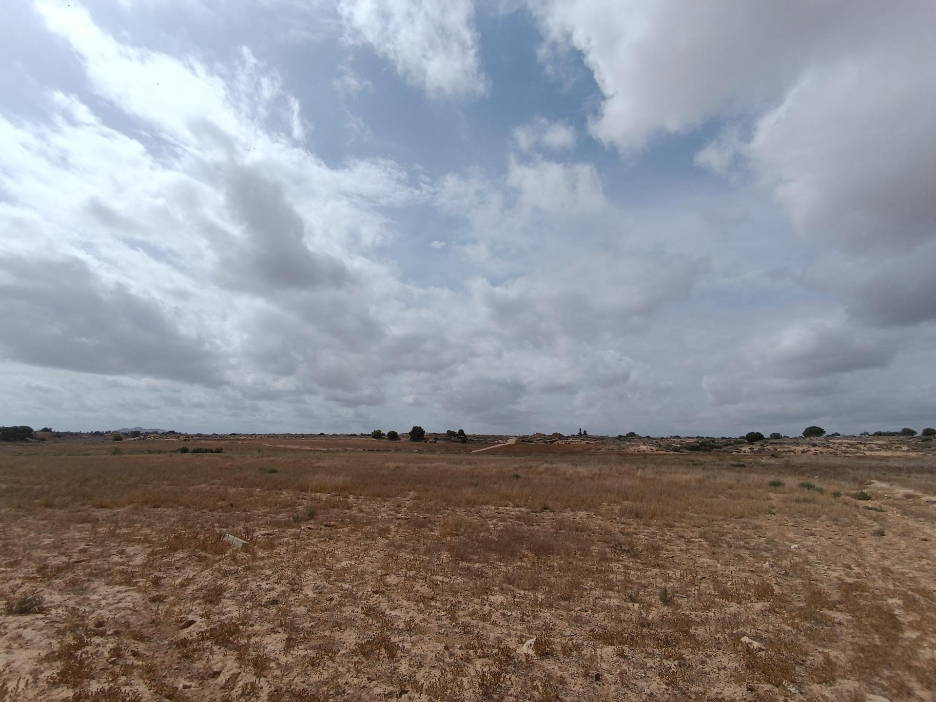 Fincas y solares-Venta-Sucina-1973009-Foto-5