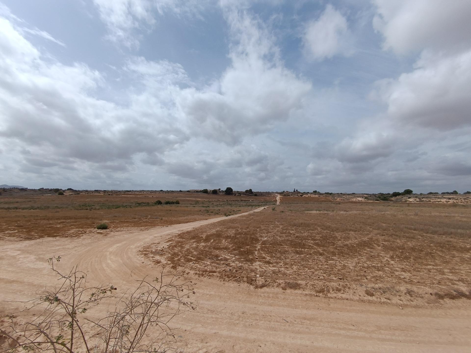 Fincas y solares-Venta-Sucina-1973009-Foto-3