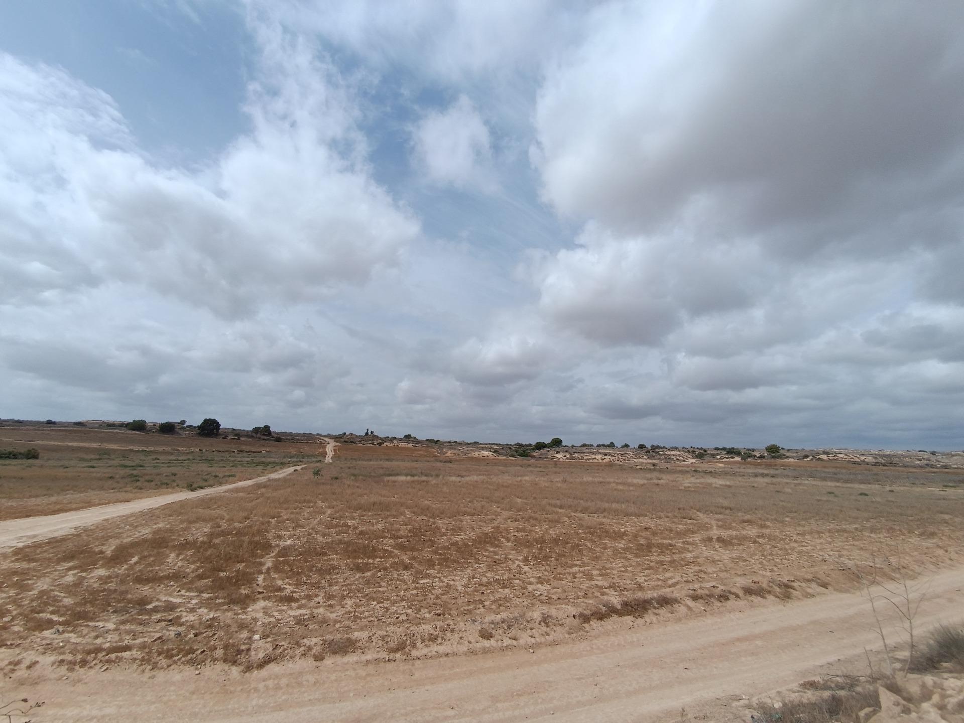 Fincas y solares-Venta-Sucina-1973009-Foto-4