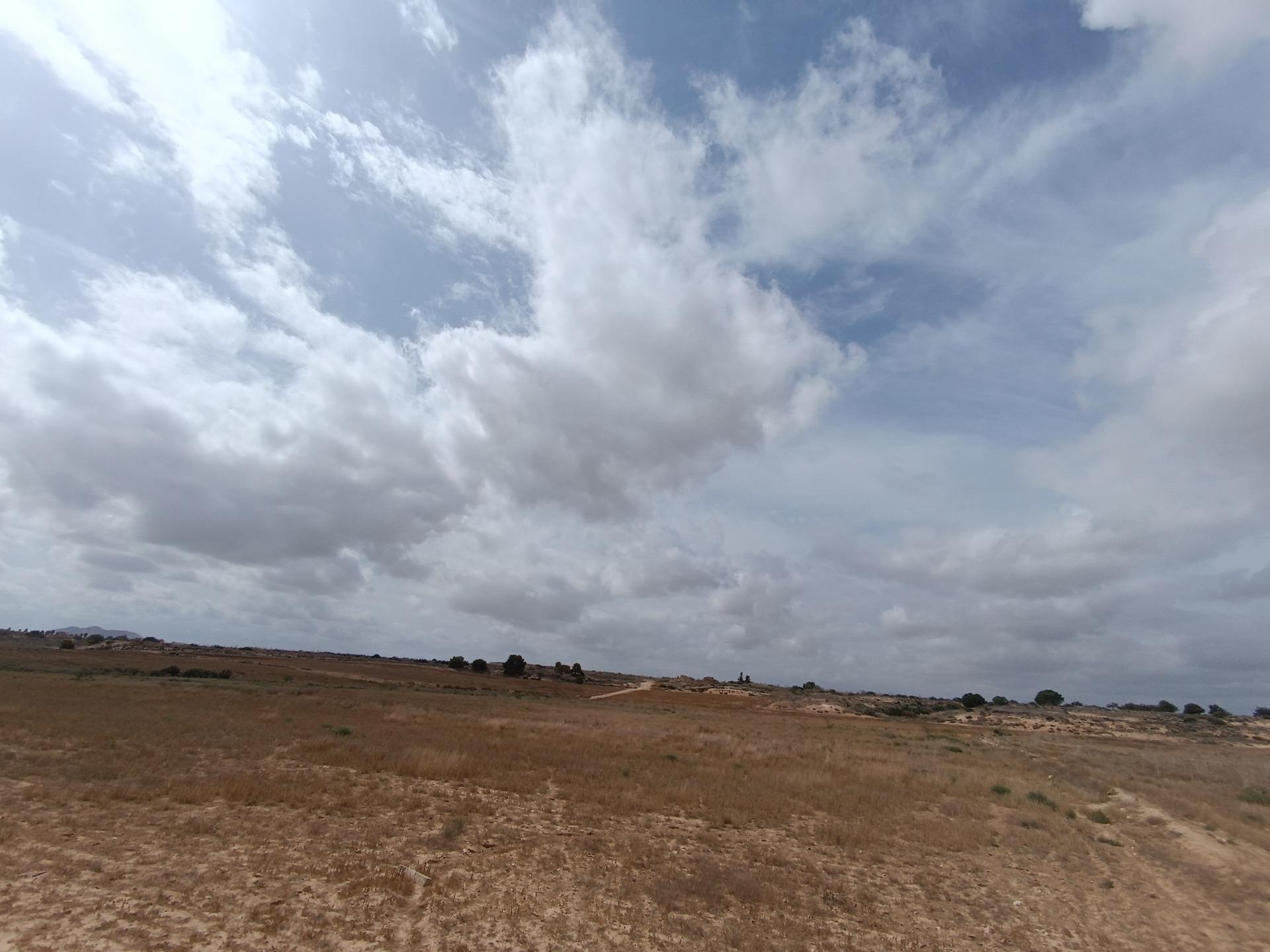 Fincas y solares-Venta-Sucina-1973009-Foto-7