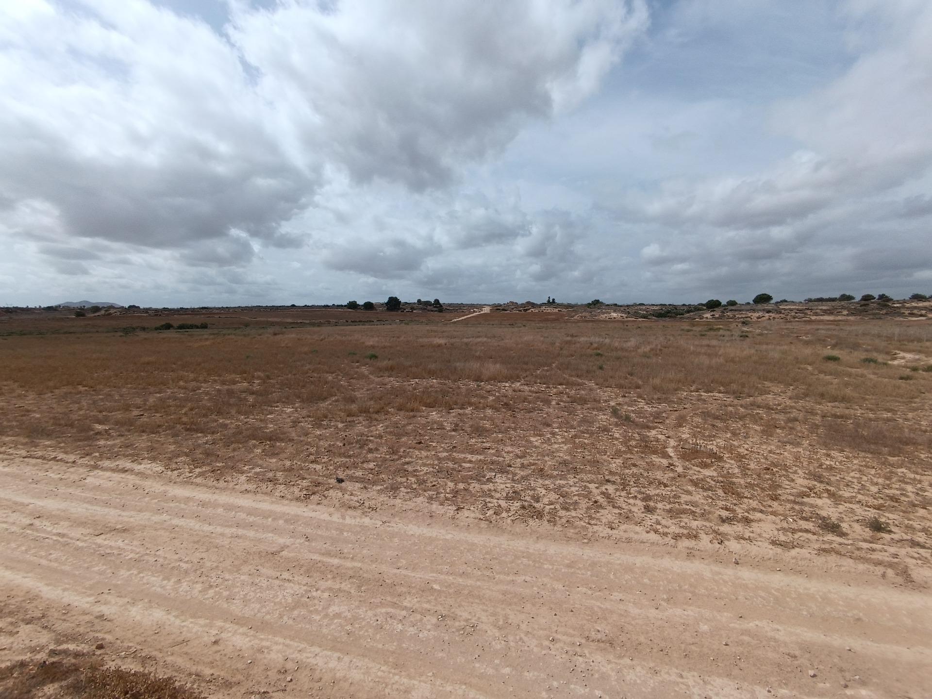 Fincas y solares-Venta-Sucina-1973009-Foto-8