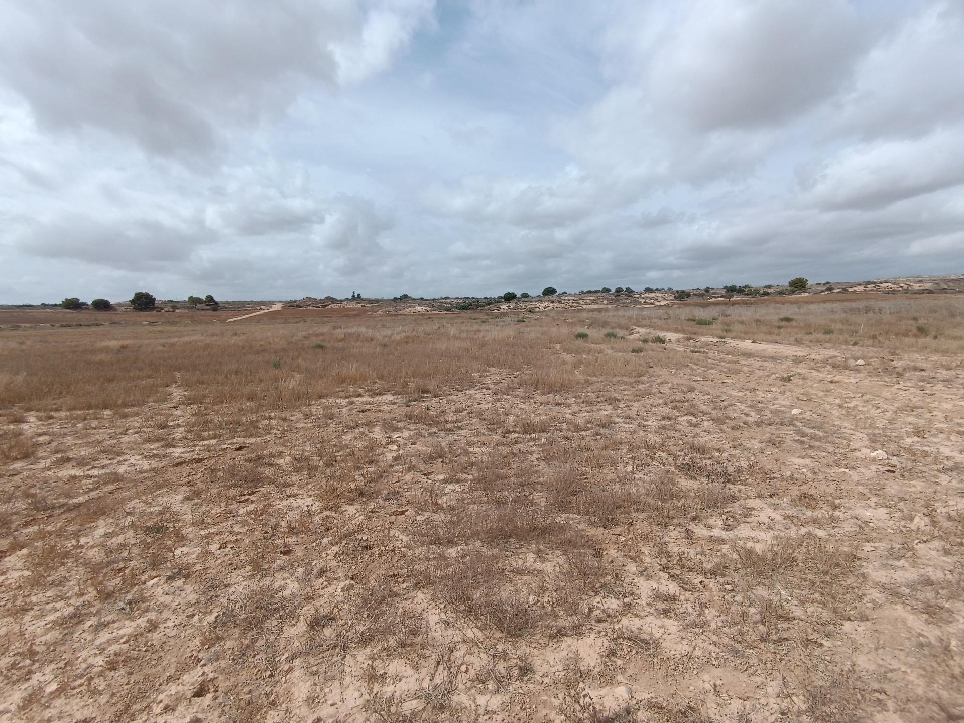 Fincas y solares-Venta-Sucina-1973009-Foto-10