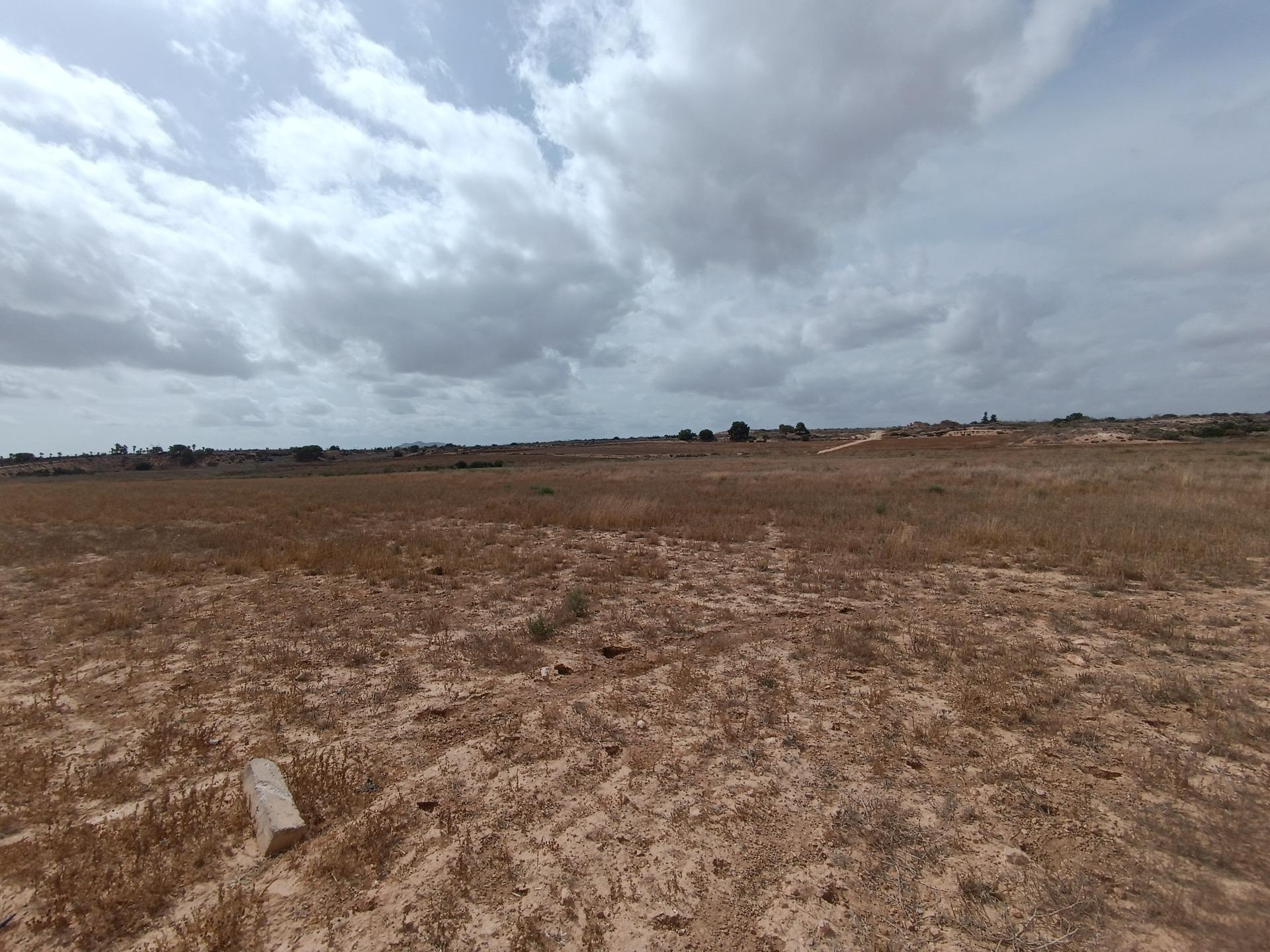 Fincas y solares-Venta-Sucina-1973009-Foto-9