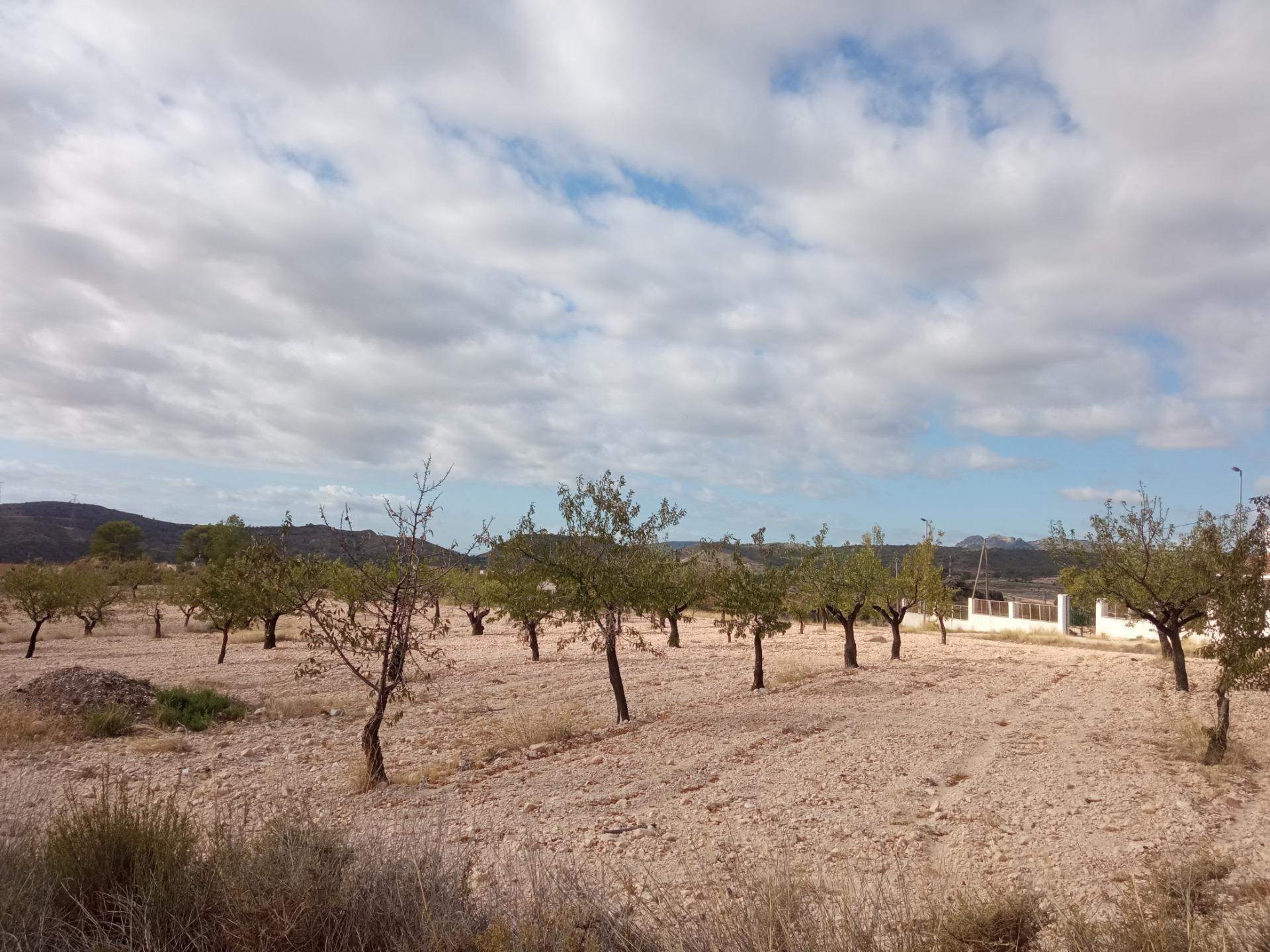 Fincas y solares-Venta-1973012