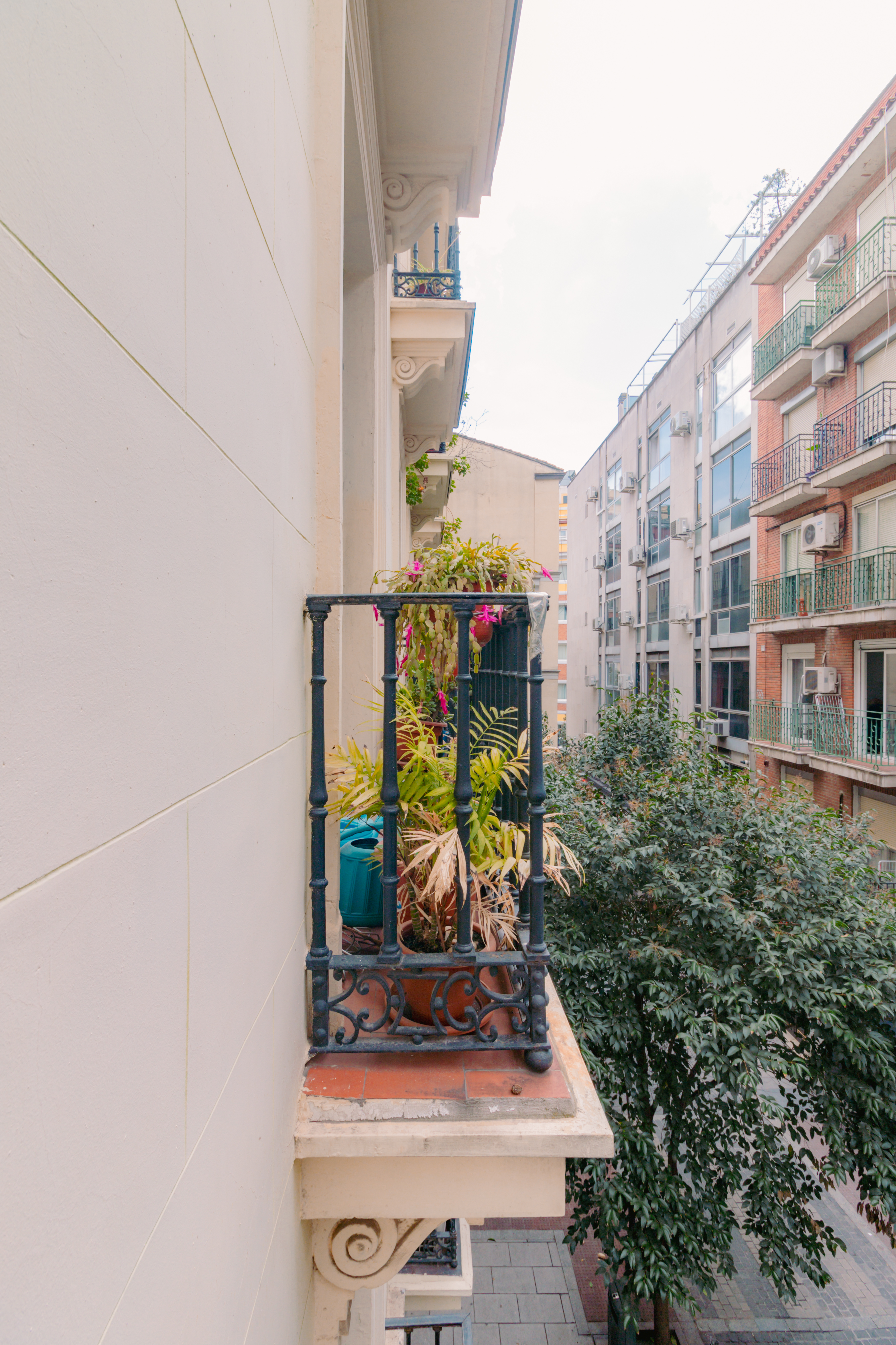 Pisos-Venta-Madrid-1972982-Foto-24