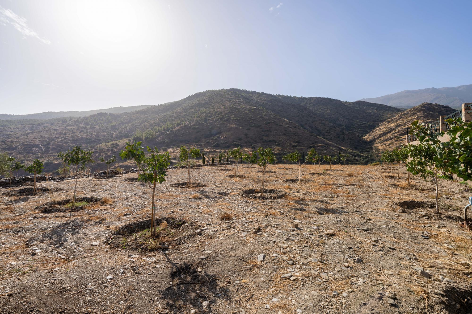 Pisos-Venta-Abrucena-1973006-Foto-18