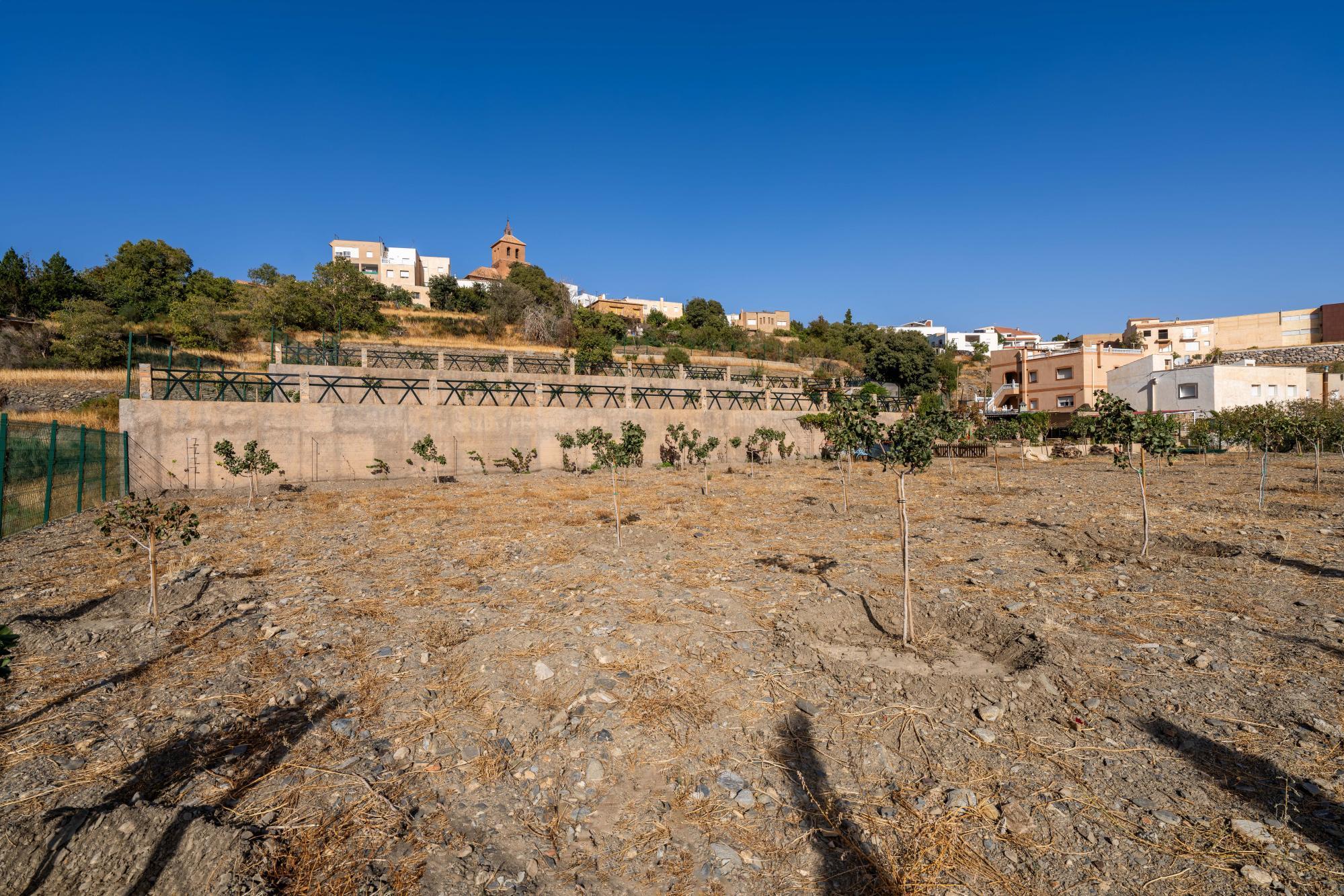 Pisos-Venta-Abrucena-1973006-Foto-20