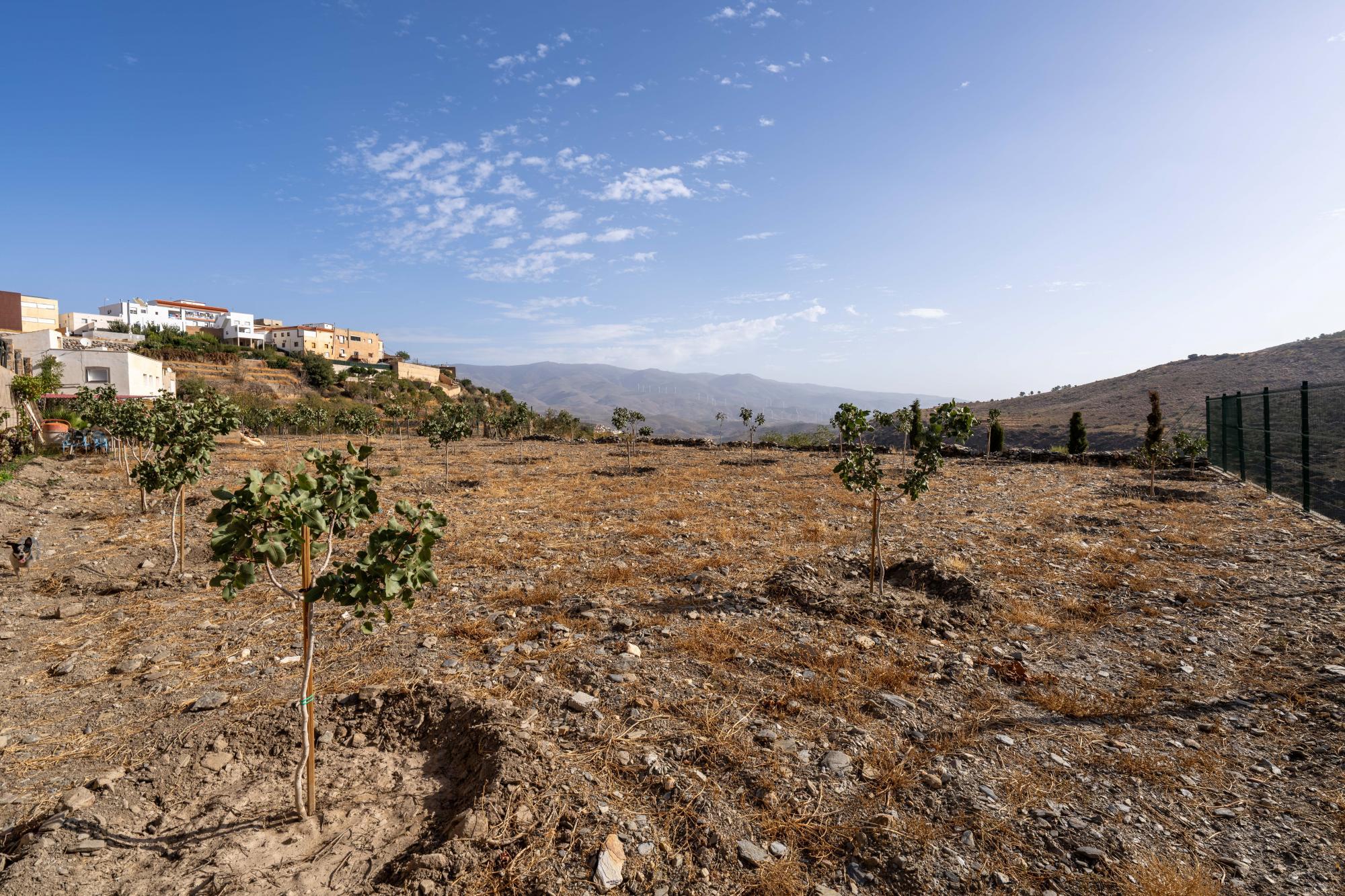 Pisos-Venta-Abrucena-1973006-Foto-19