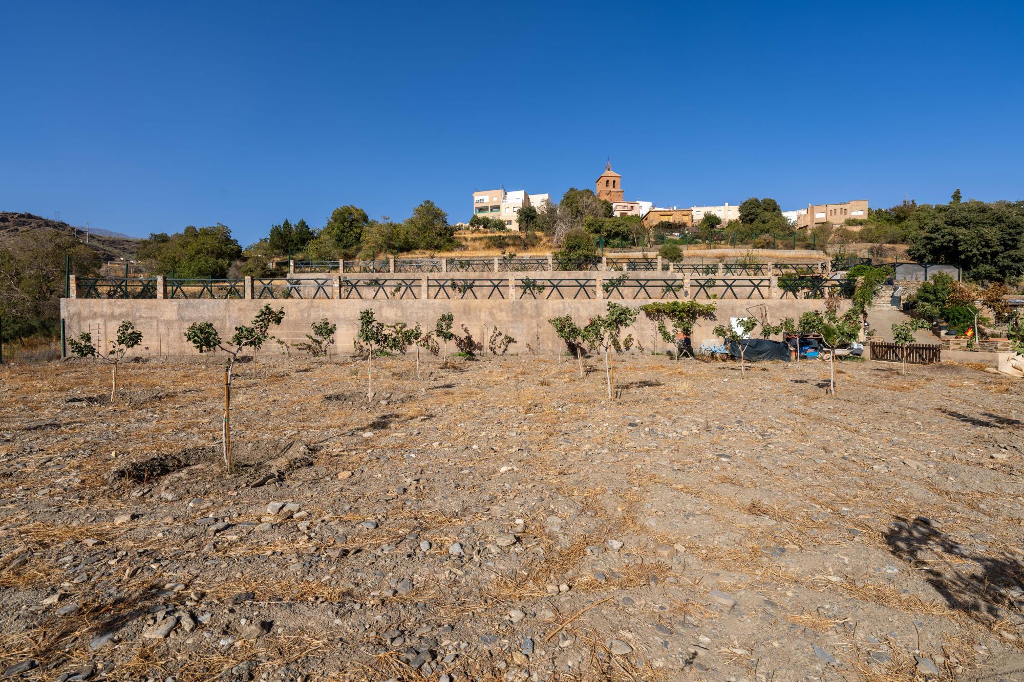 Pisos-Venta-Abrucena-1973006-Foto-21