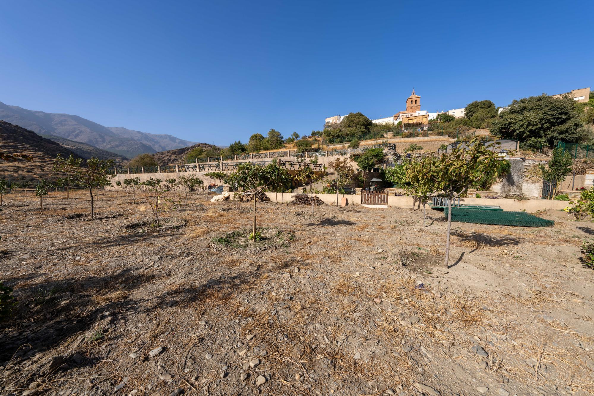 Pisos-Venta-Abrucena-1973006-Foto-22