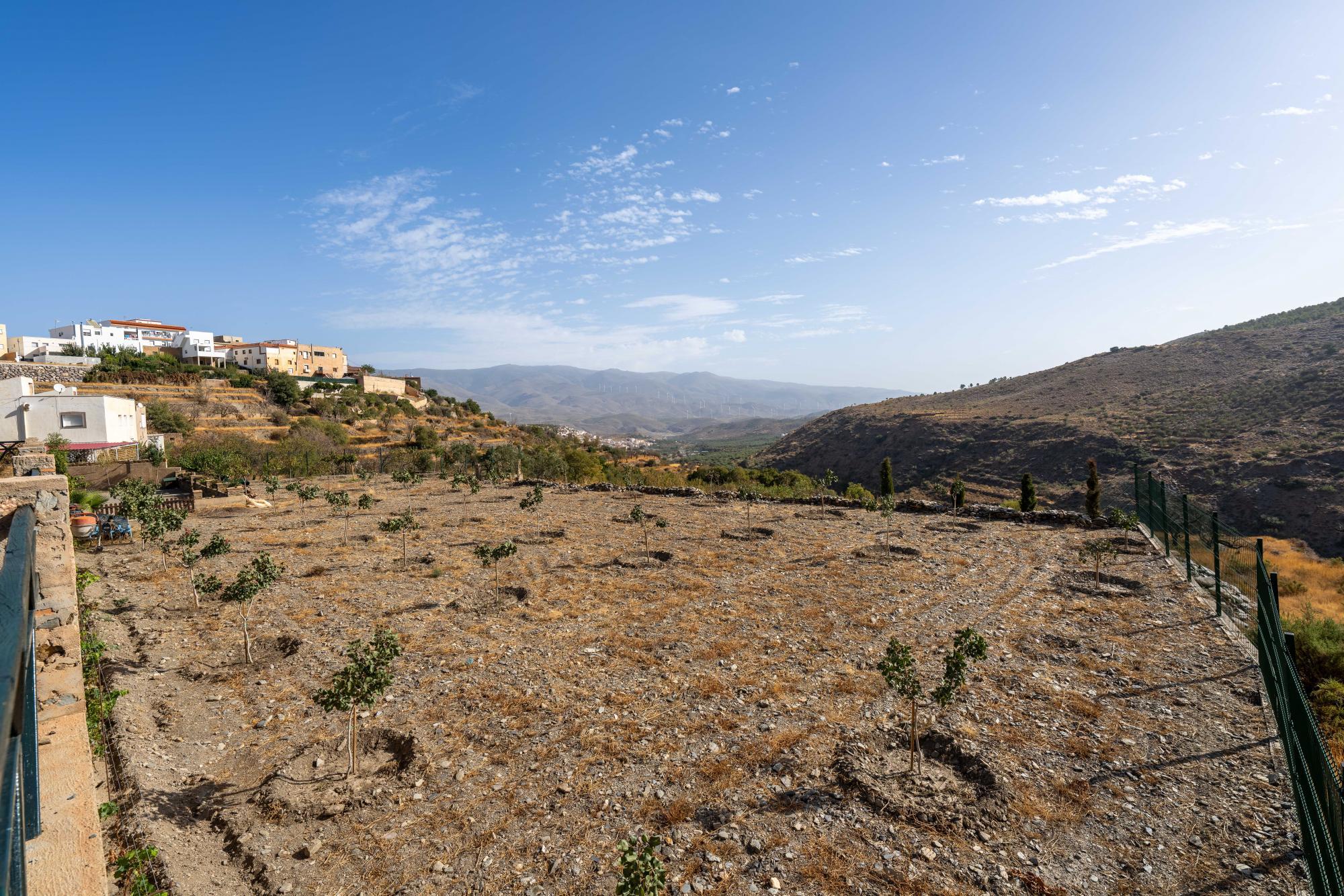 Pisos-Venta-Abrucena-1973006-Foto-40