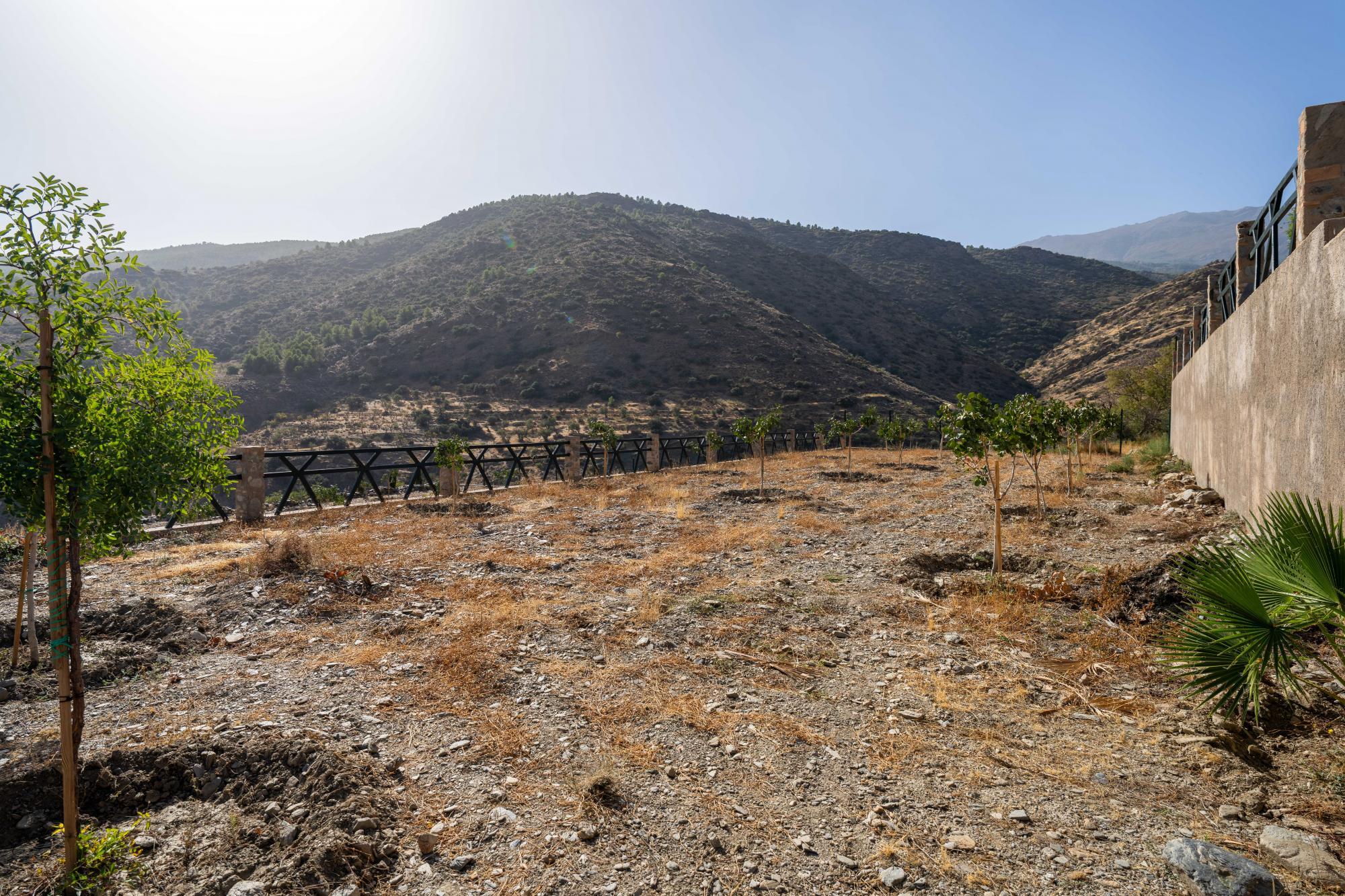 Pisos-Venta-Abrucena-1973006-Foto-39