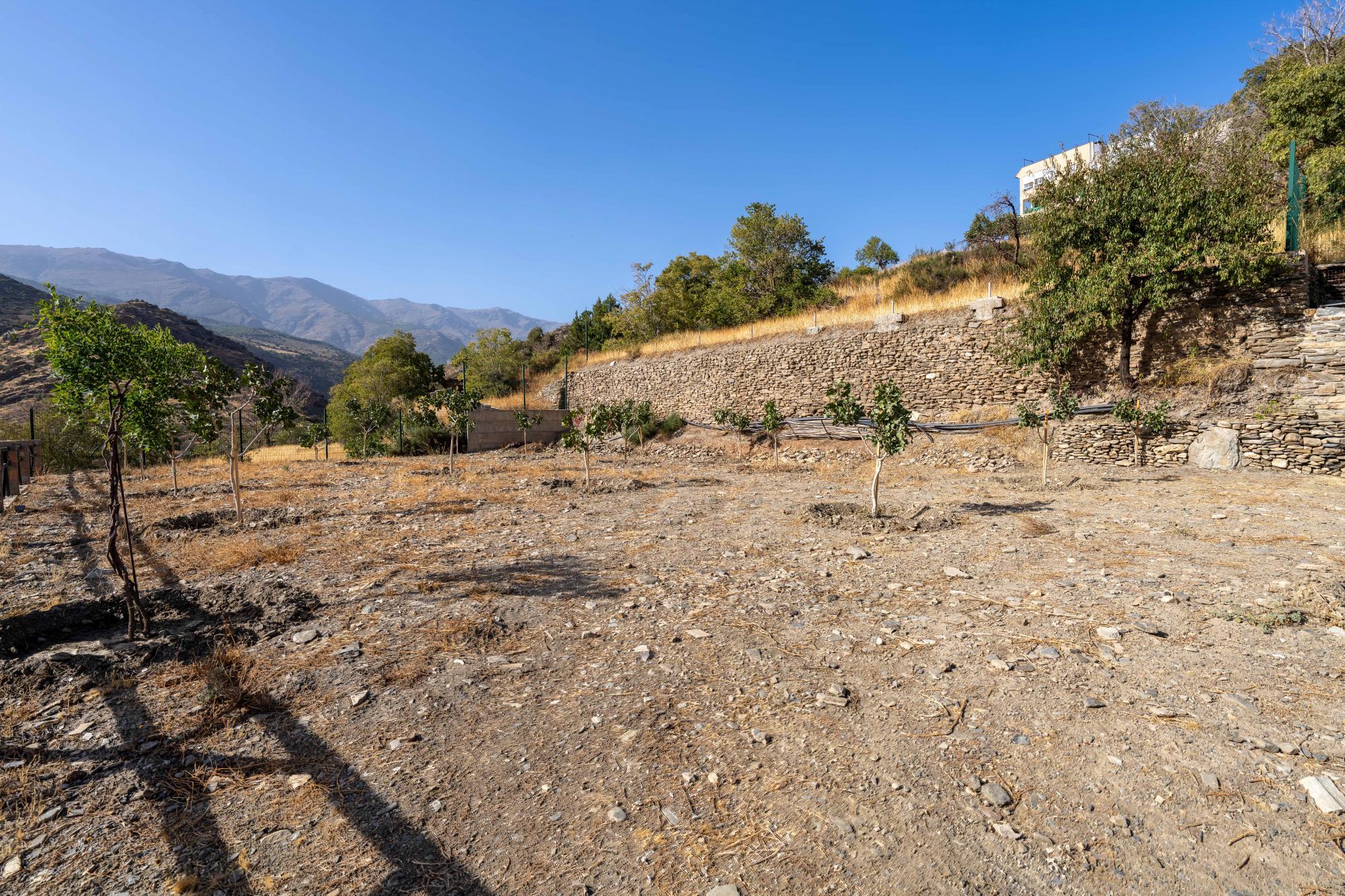 Pisos-Venta-Abrucena-1973006-Foto-44