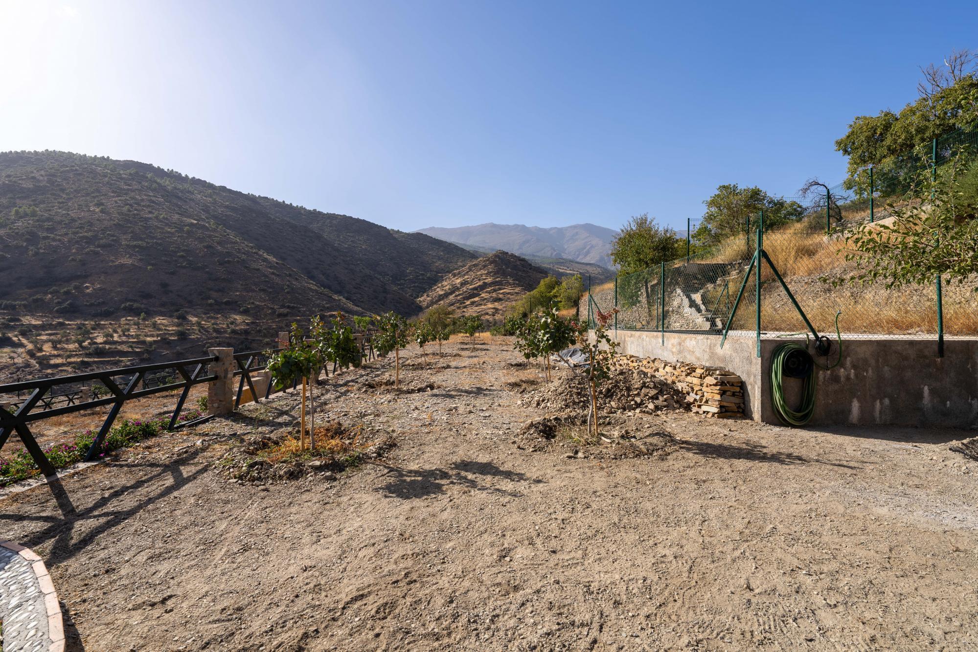 Pisos-Venta-Abrucena-1973006-Foto-45