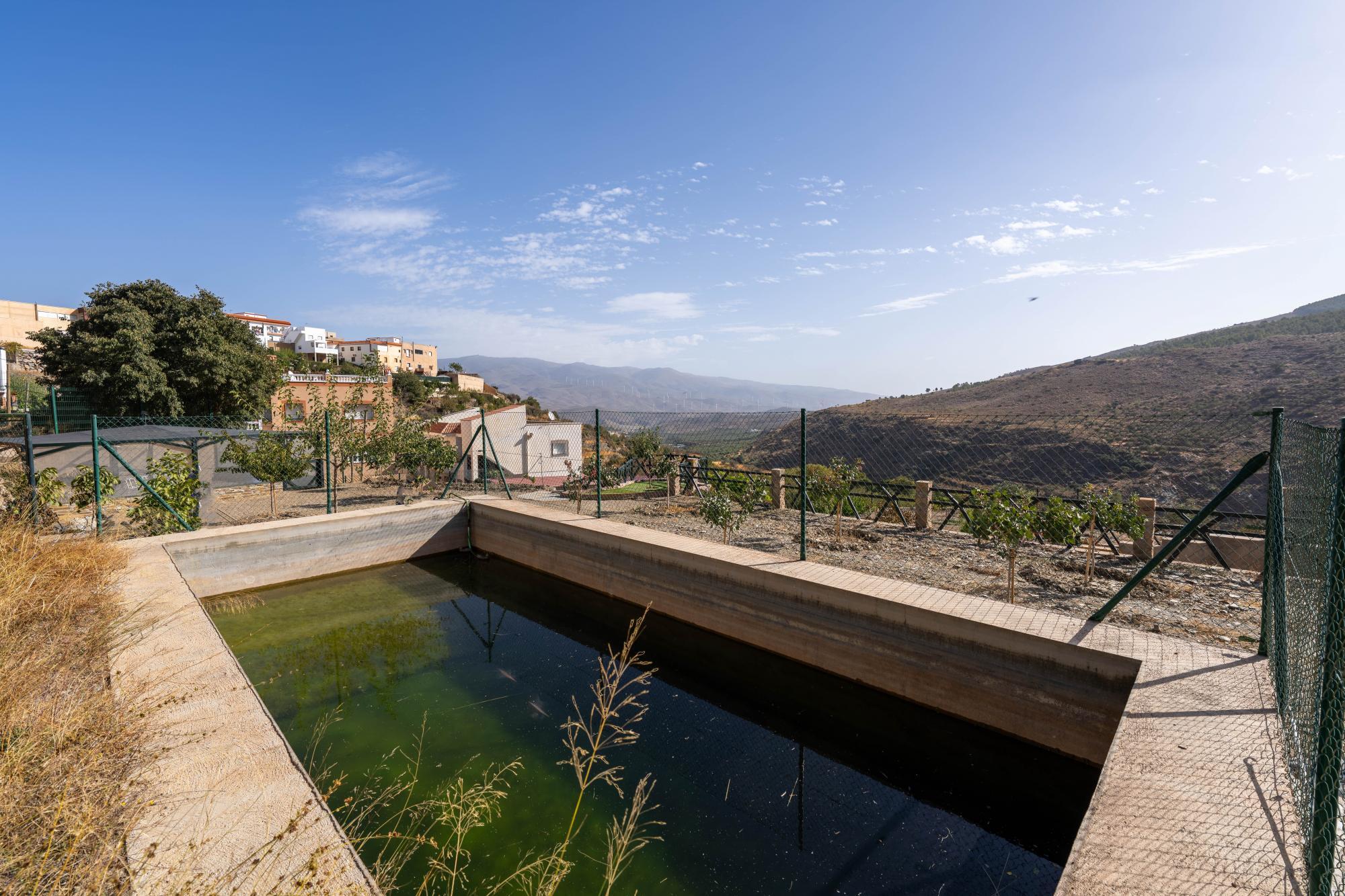 Pisos-Venta-Abrucena-1973006-Foto-54