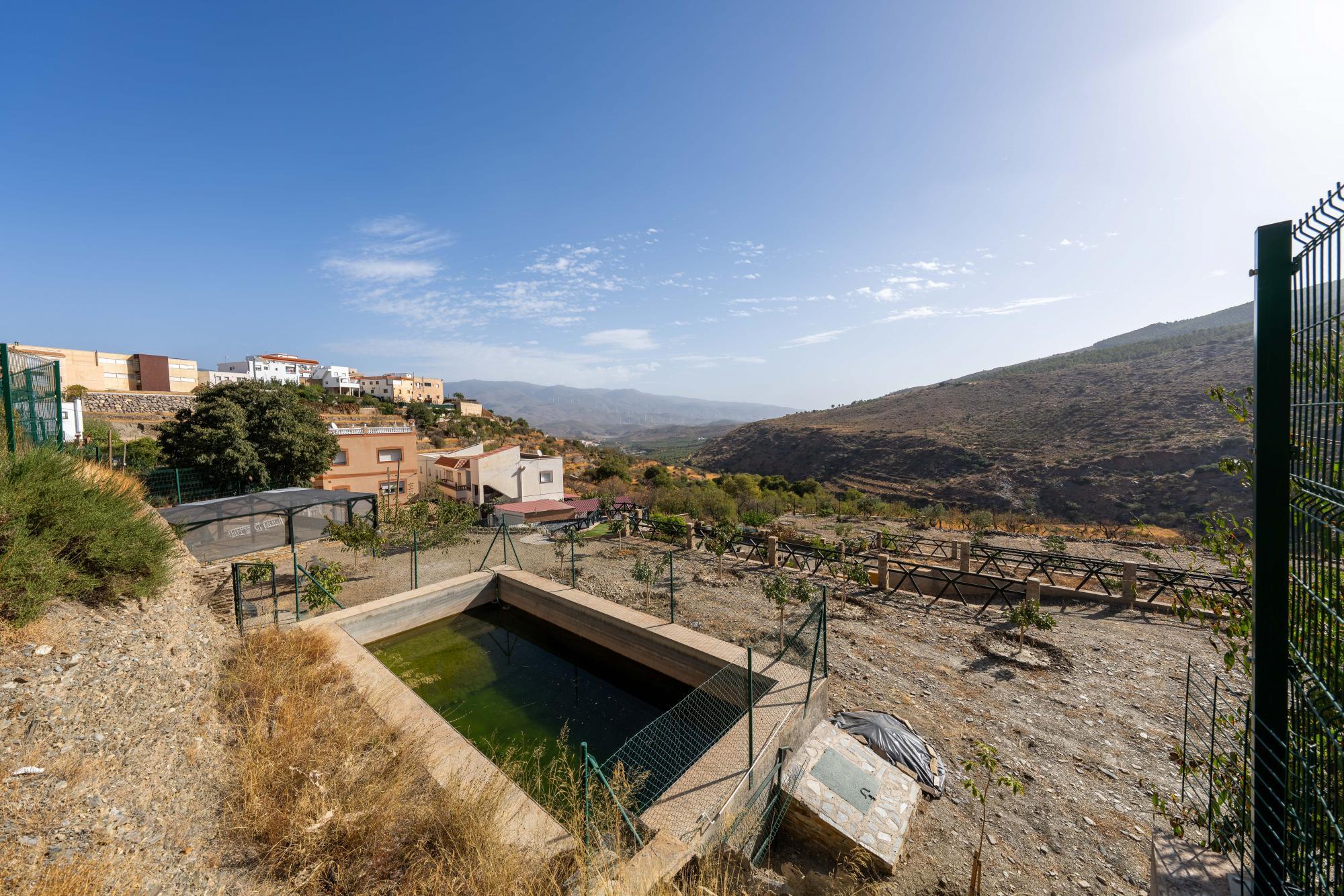 Pisos-Venta-Abrucena-1973006-Foto-55