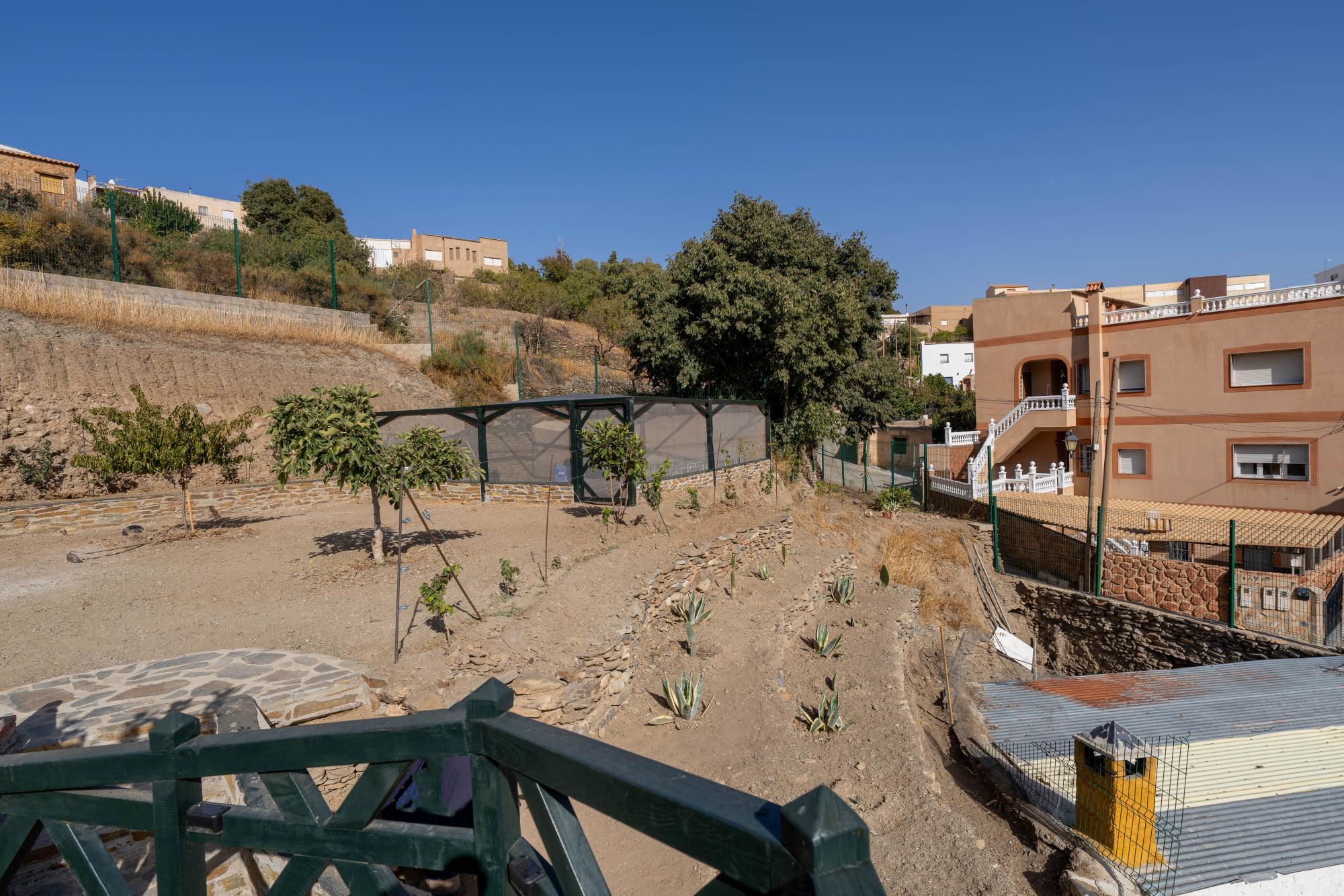 Pisos-Venta-Abrucena-1973006-Foto-60