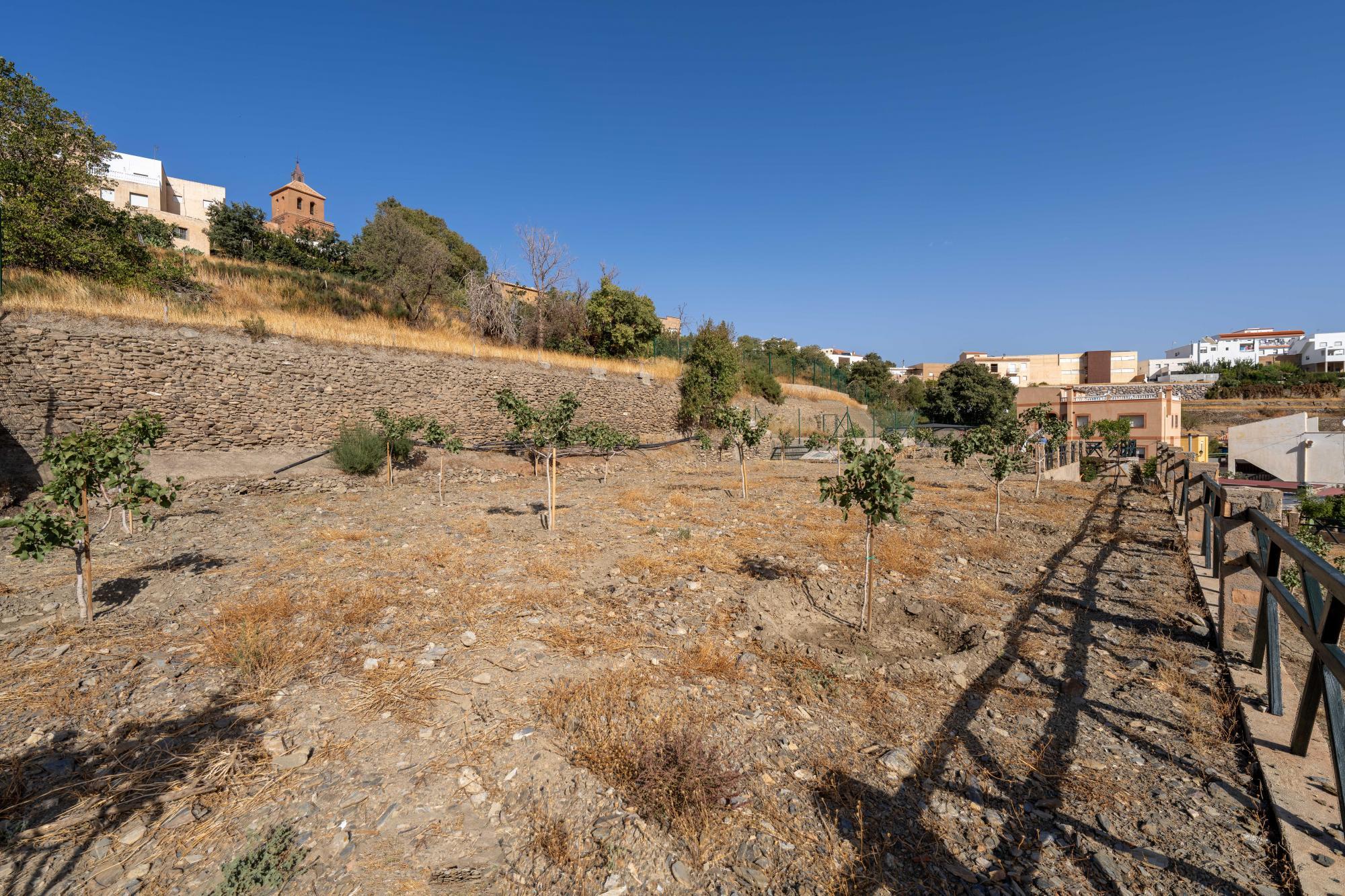 Pisos-Venta-Abrucena-1973006-Foto-56