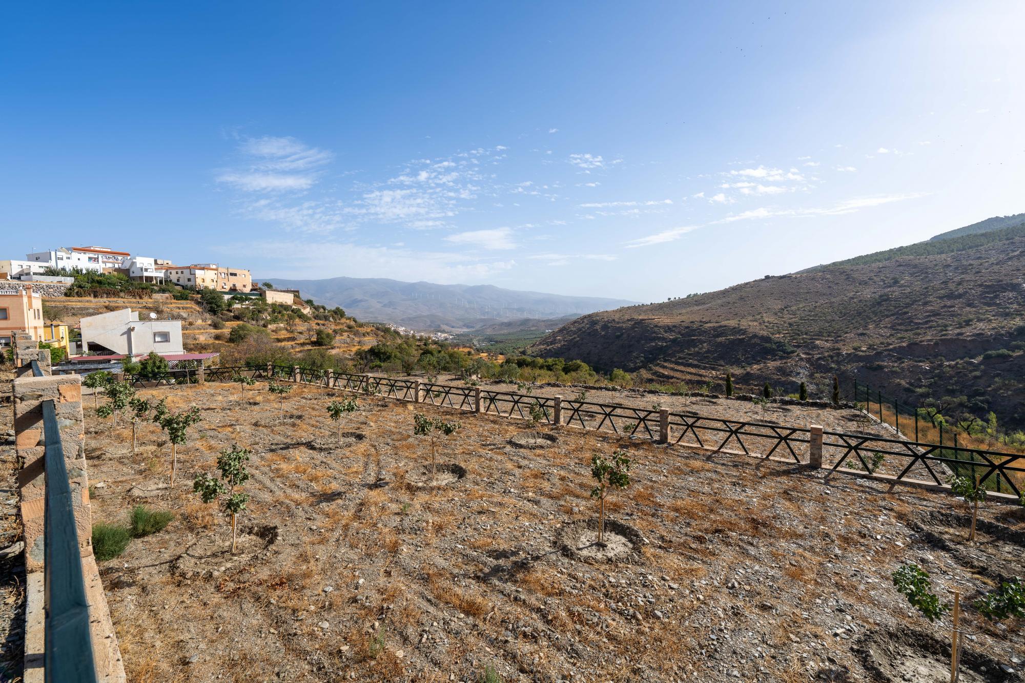 Pisos-Venta-Abrucena-1973006-Foto-57