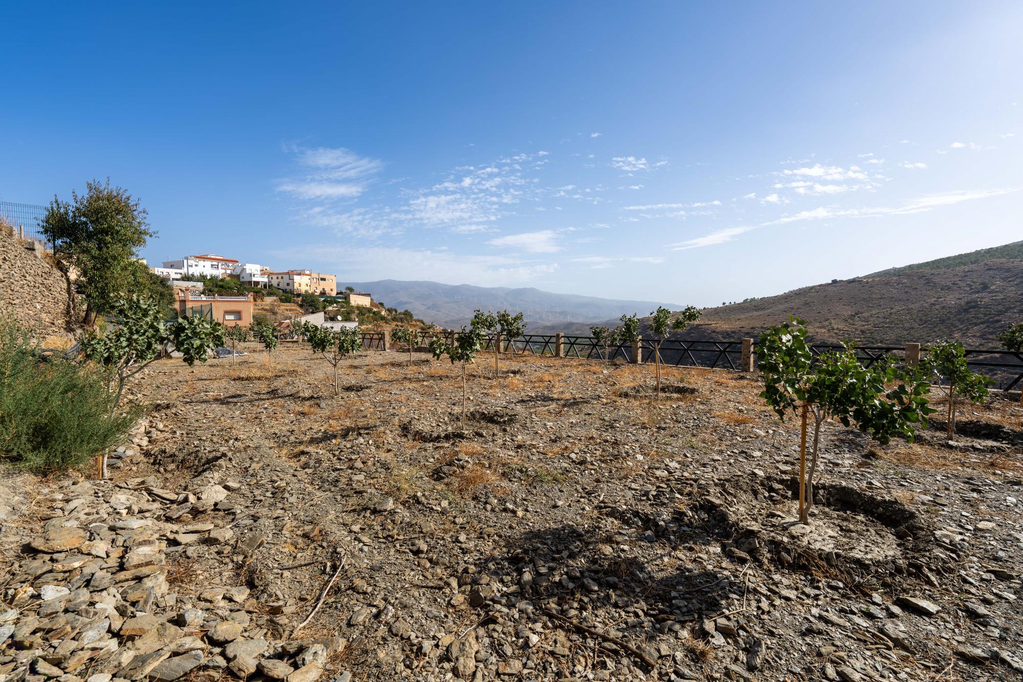 Pisos-Venta-Abrucena-1973006-Foto-58