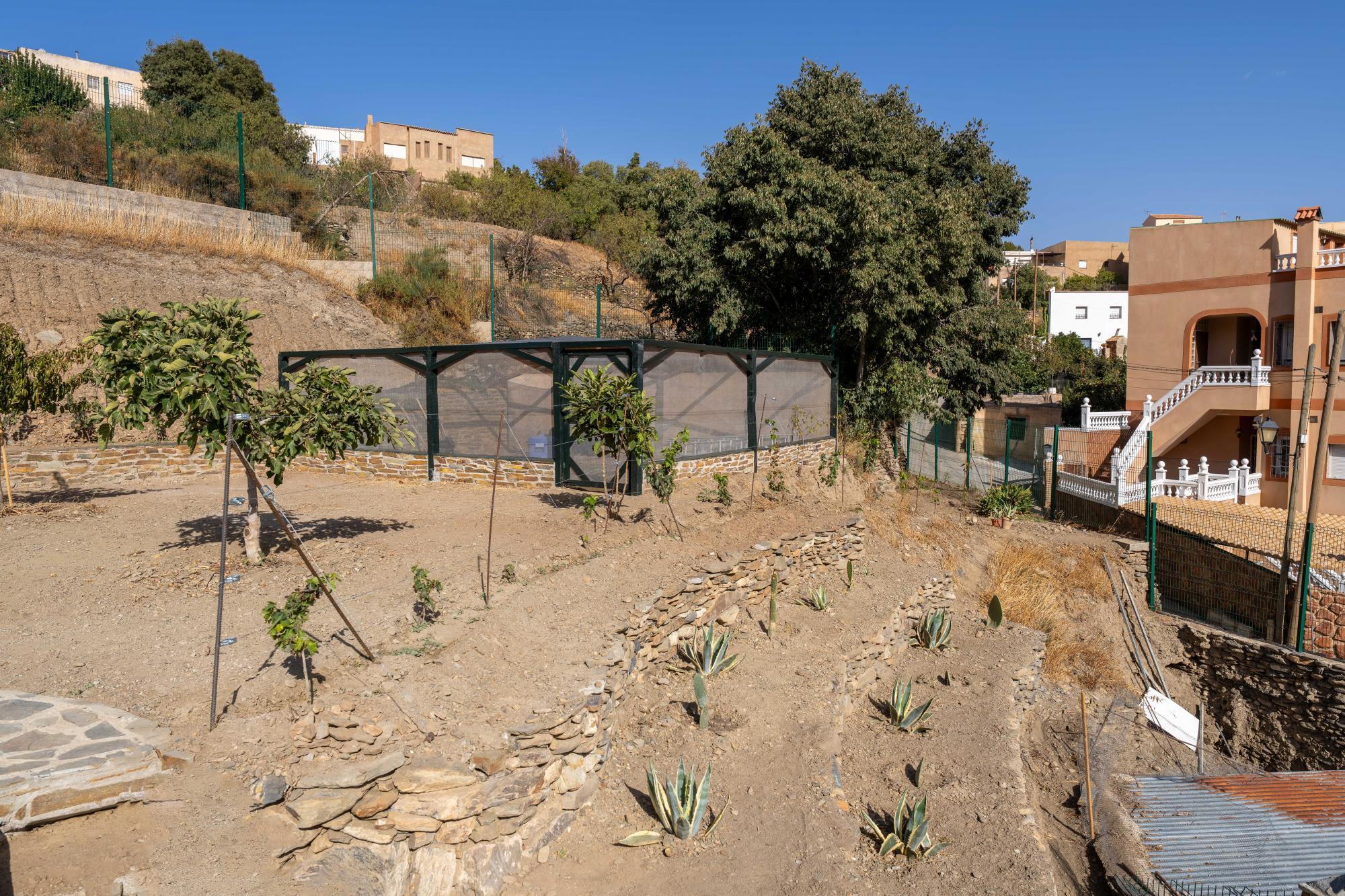 Pisos-Venta-Abrucena-1973006-Foto-61