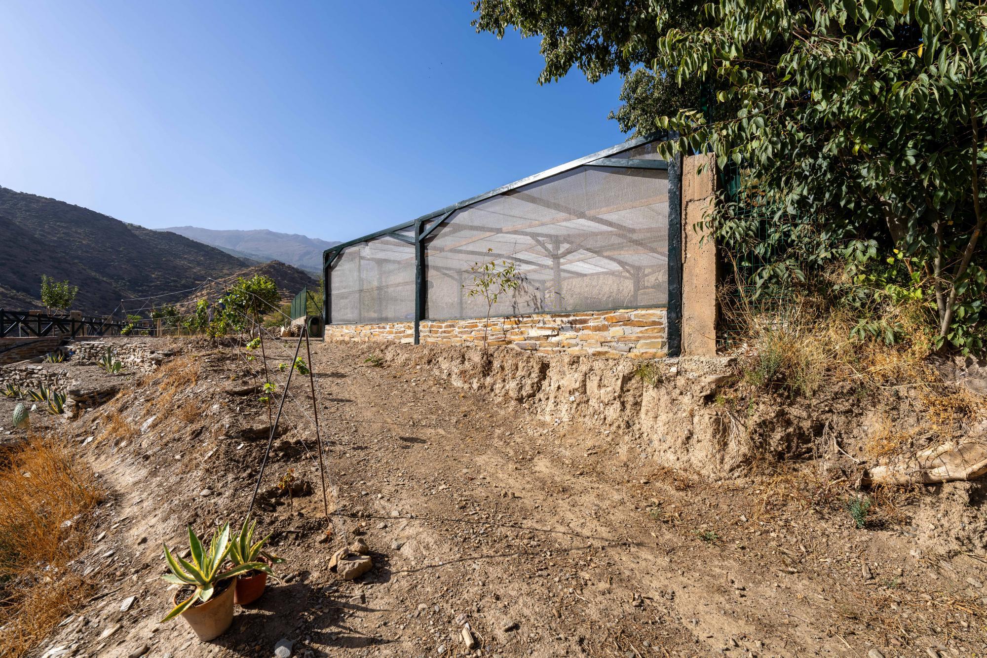 Pisos-Venta-Abrucena-1973006-Foto-65