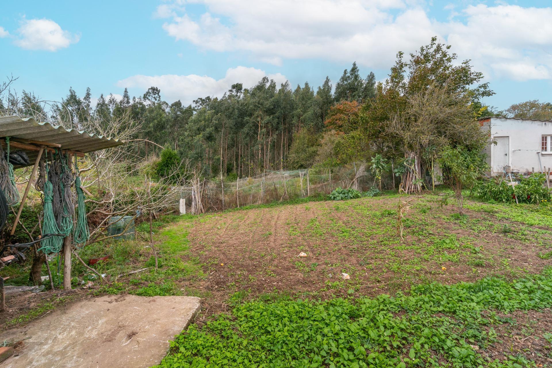 Casas o chalets-Venta-Barreiros-1973015-Foto-51