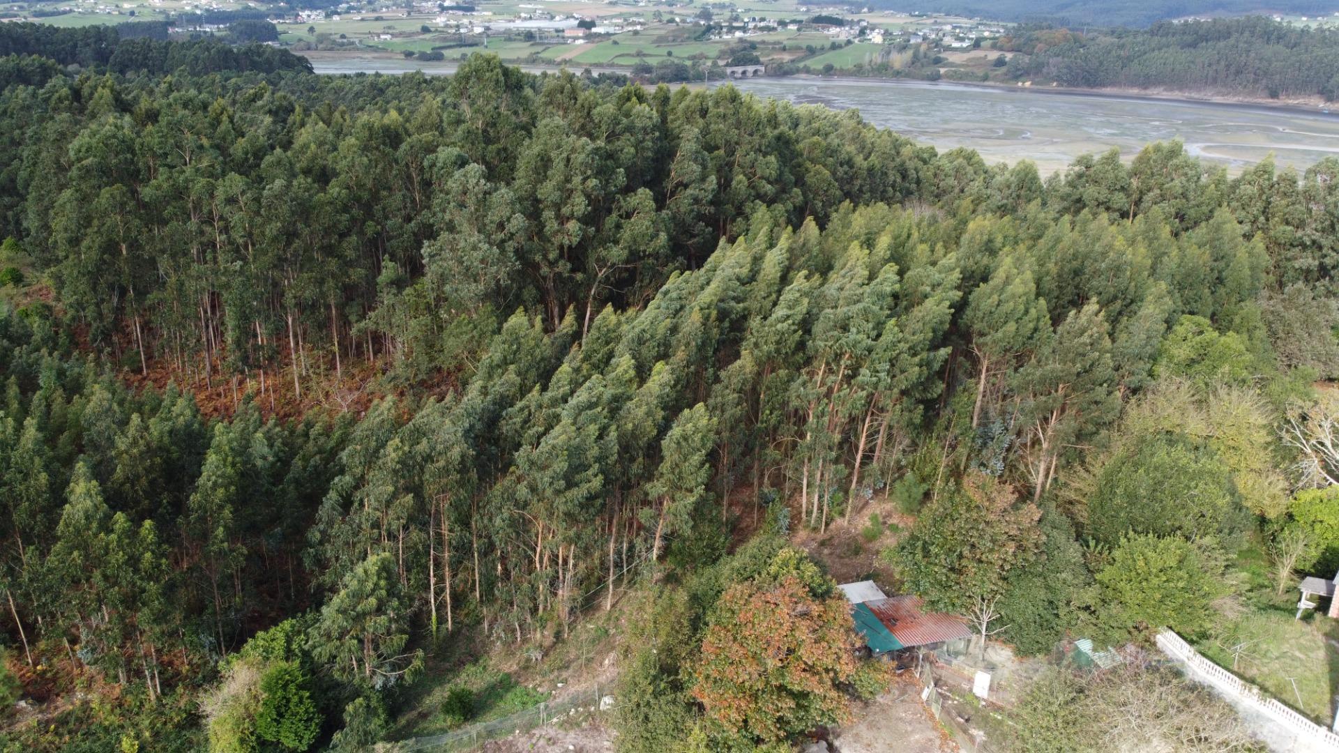 Casas o chalets-Venta-Barreiros-1973015-Foto-60