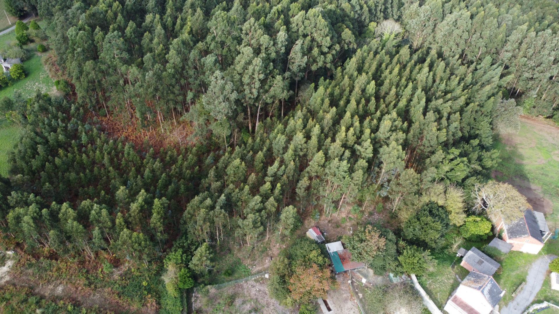 Casas o chalets-Venta-Barreiros-1973015-Foto-61